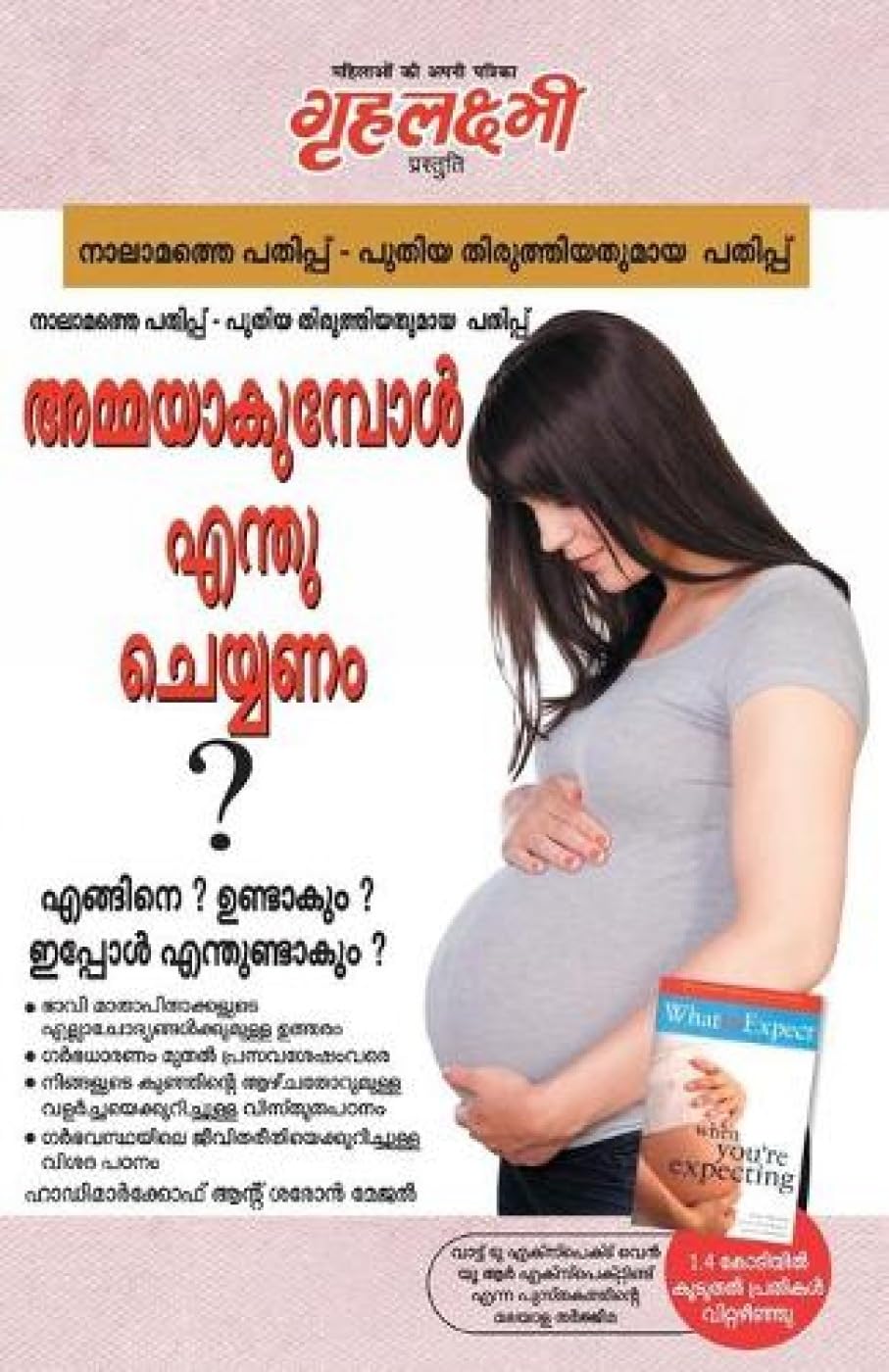 What To Expect When You are Expecting in Malayalam The Best Pregenancy Book By - Heidi Murkoff & Sharon Mazel: ... ?) The Best Pregena Contemporary literature