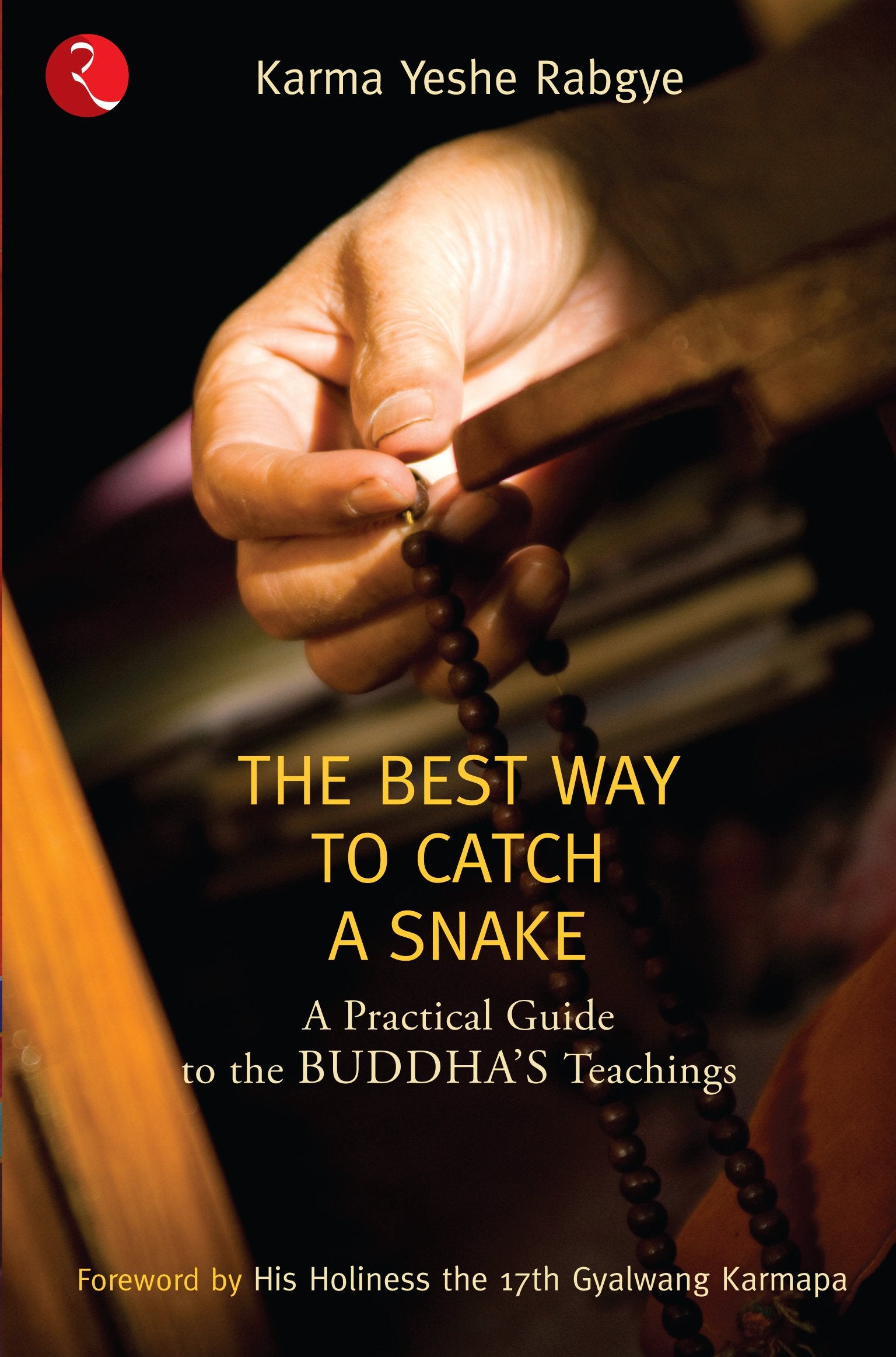 The Best Way to Catch a Snake: A Practical Guide to the Buddha's Teachings Religion & Esotericism