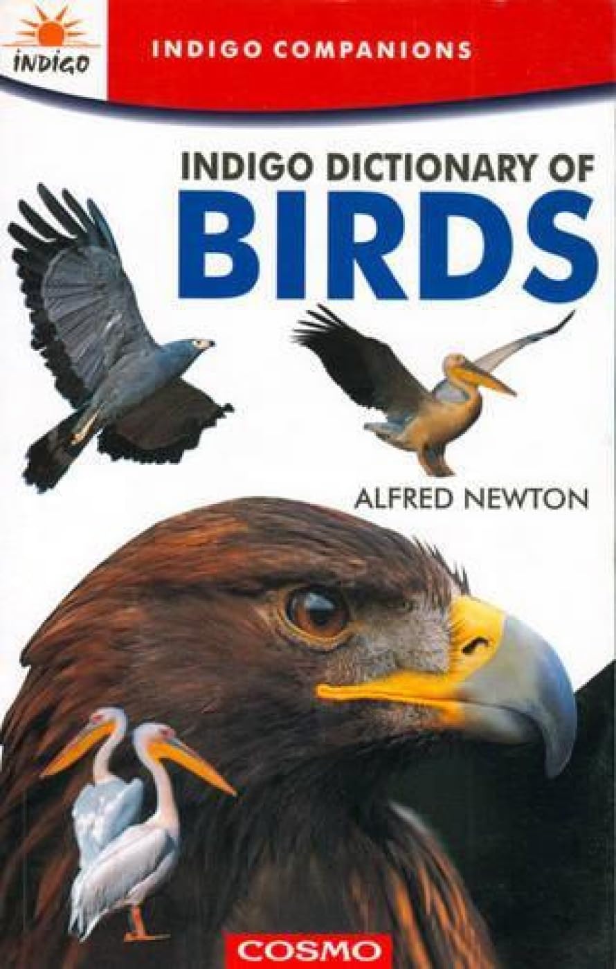Indigo Dictionary of Birds Business & Technology