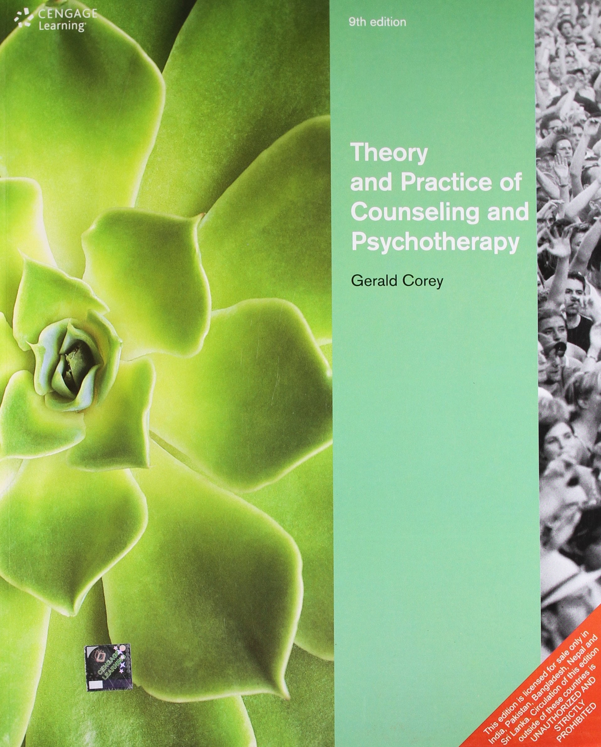 Theory and Practice of Counseling and Psychotherapy Books