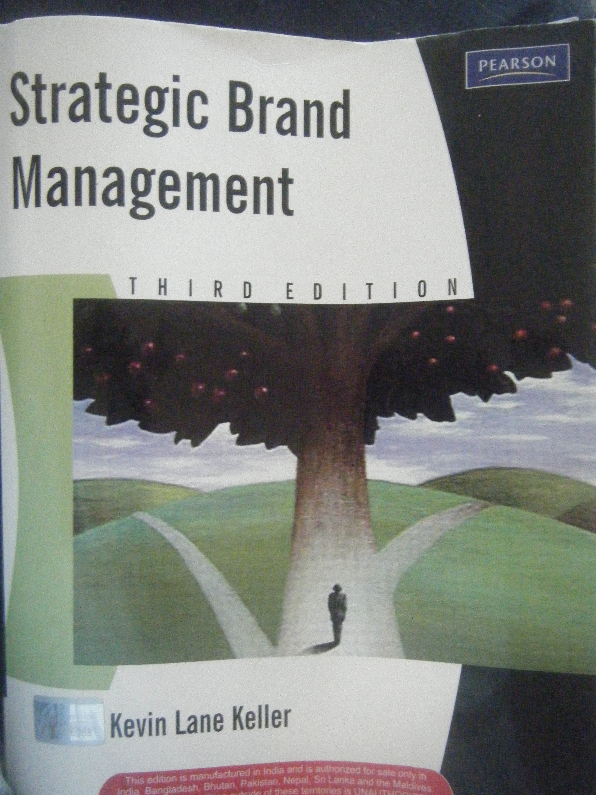 Strategic Brand management: building, Measuring and managing brand Equity, 3rd ed. book