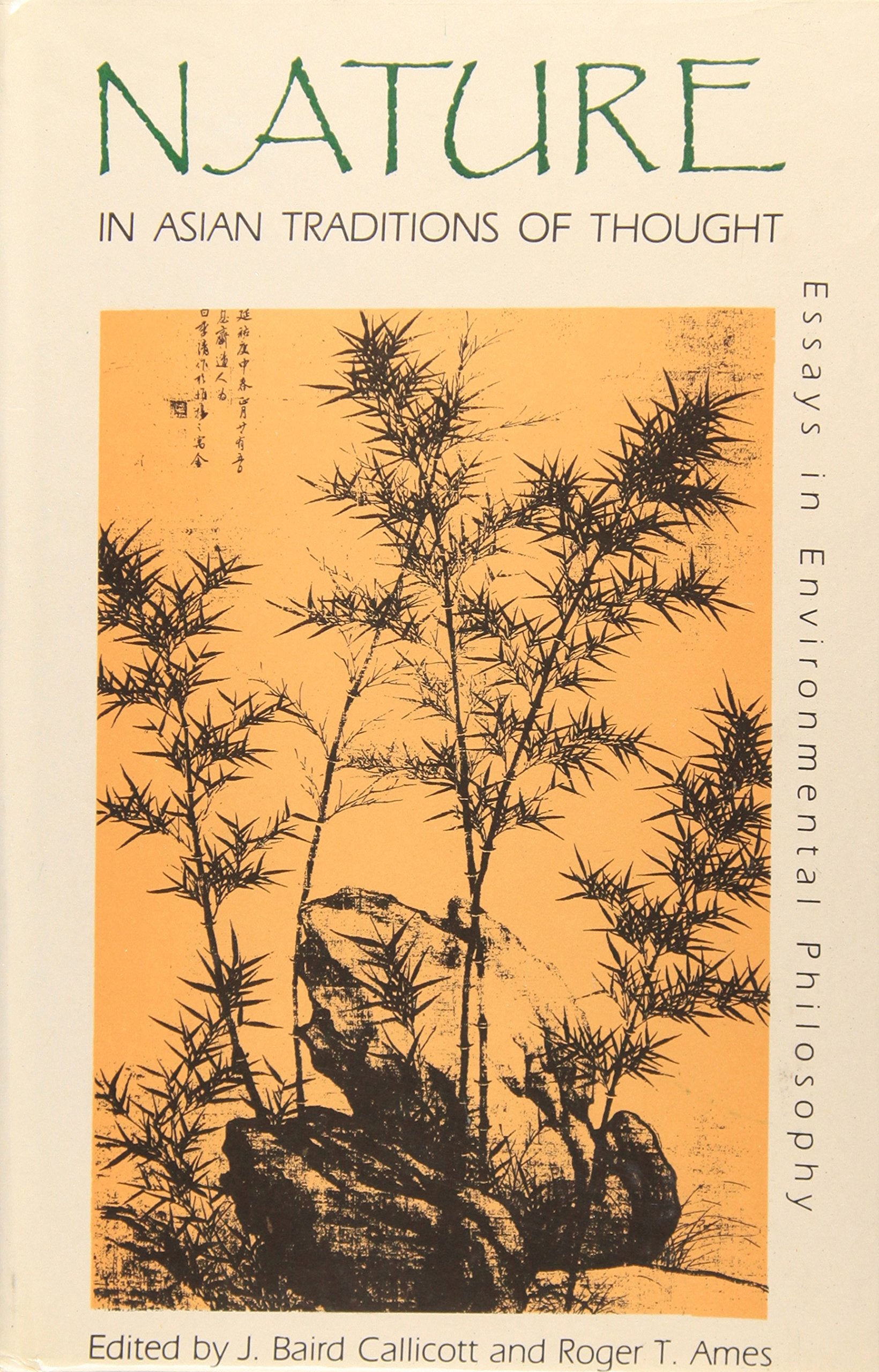 Nature in Asian Traditions of Thought: Essays in Environmental Philosophy Philosophy