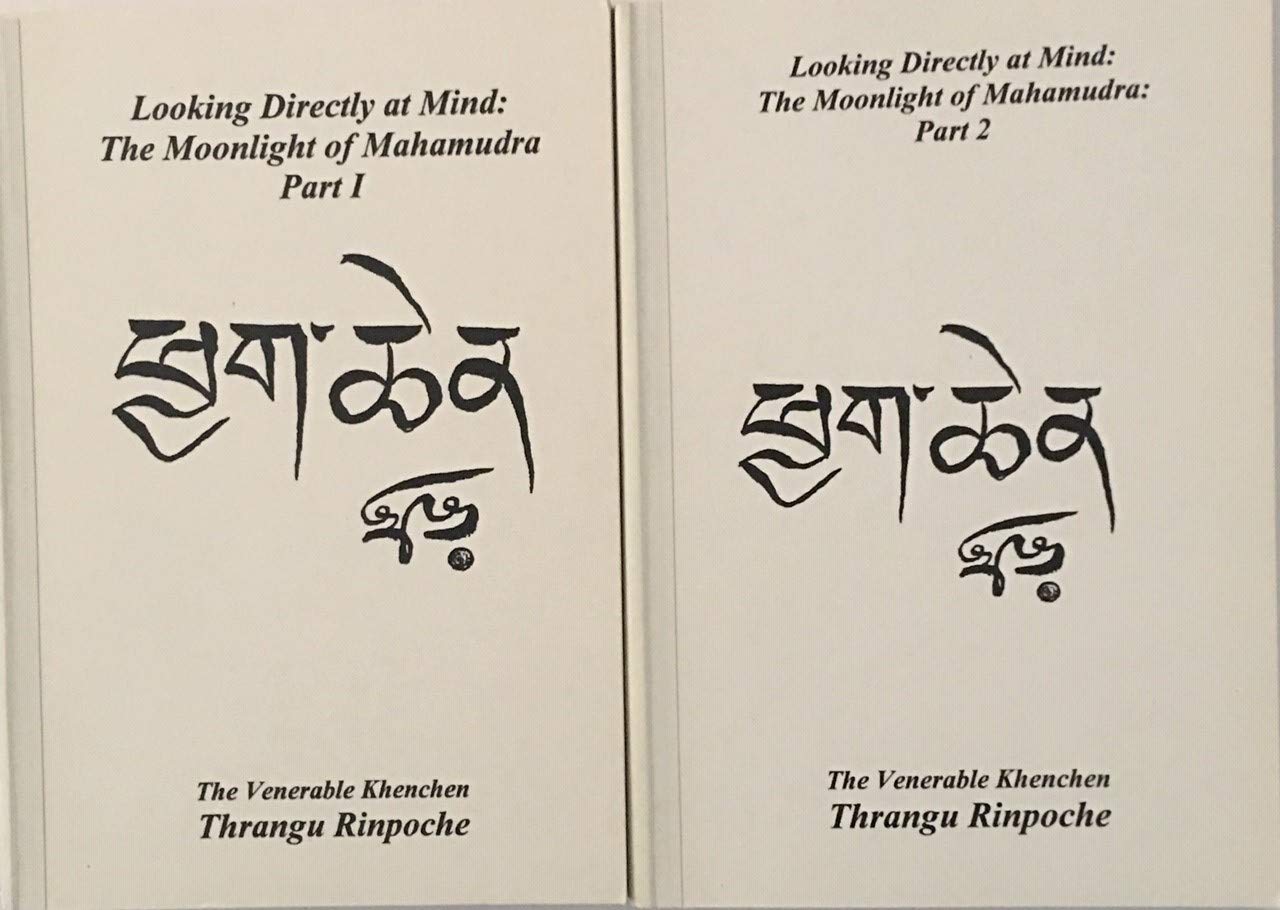 Looking Directly at Mind: The Moonlight of Mahamudra Books