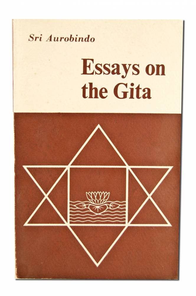 Essays on the Gita book