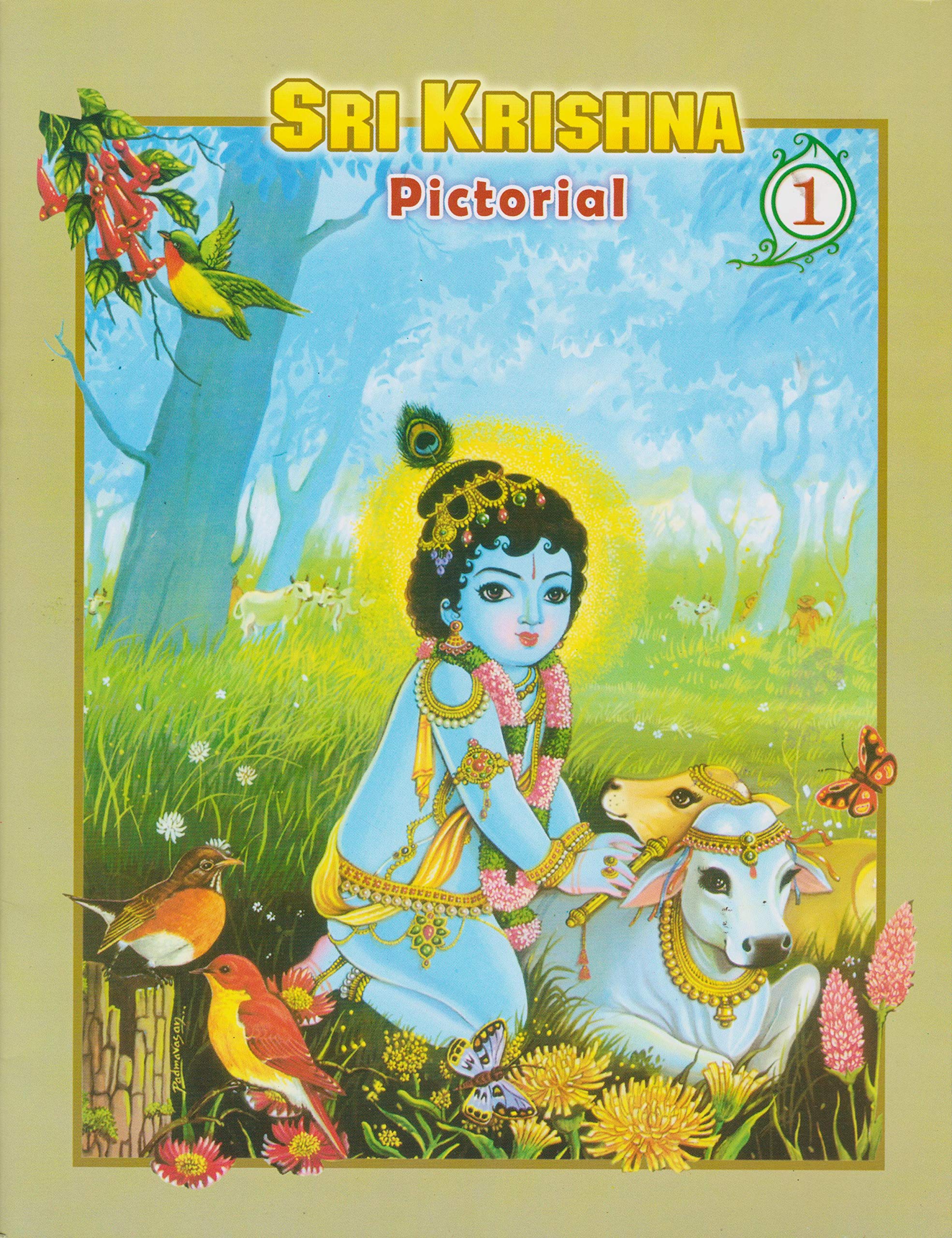 Sri Krishna Pictorial - Part 1 Books