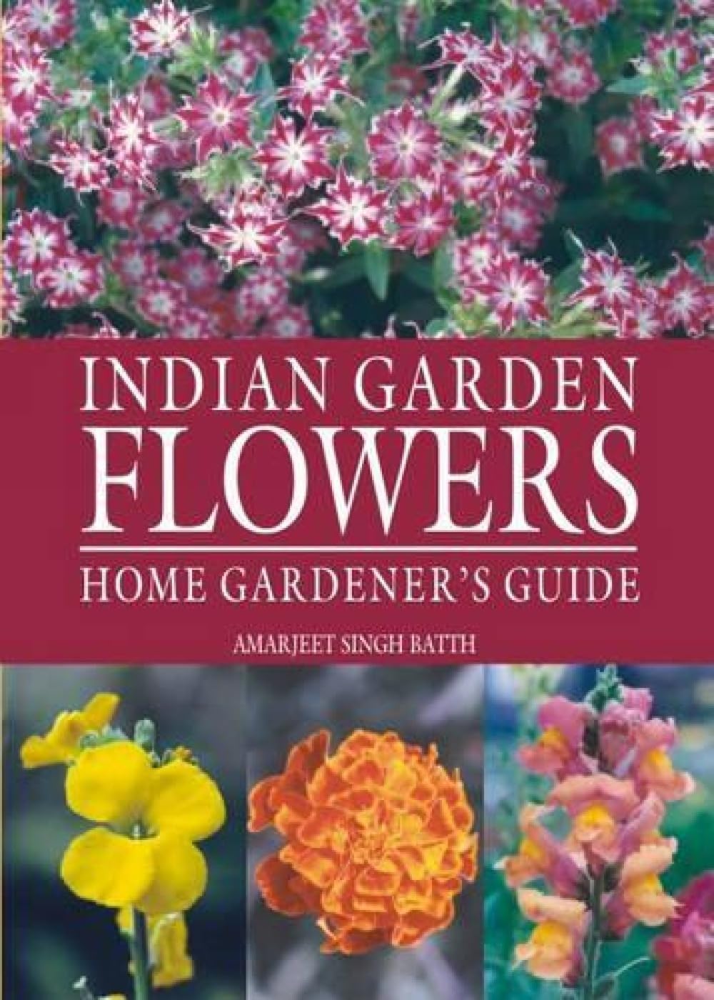 Indian Garden Flowers Garden & Plants