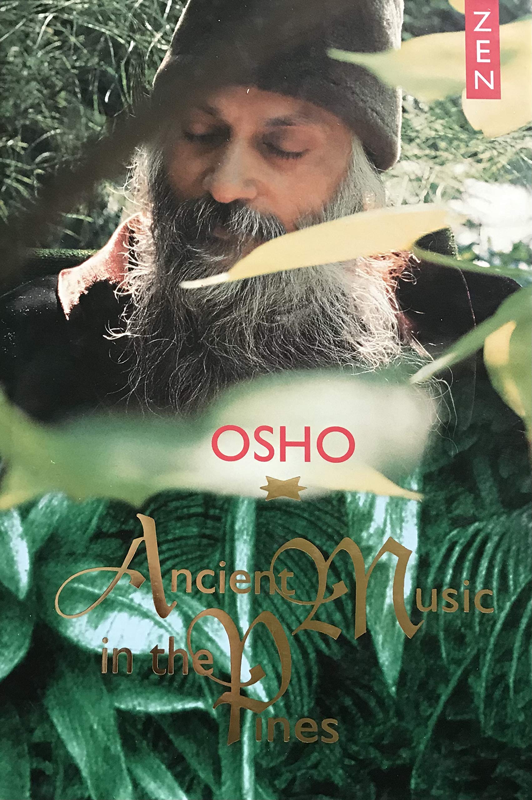Ancient Music in the Pines book