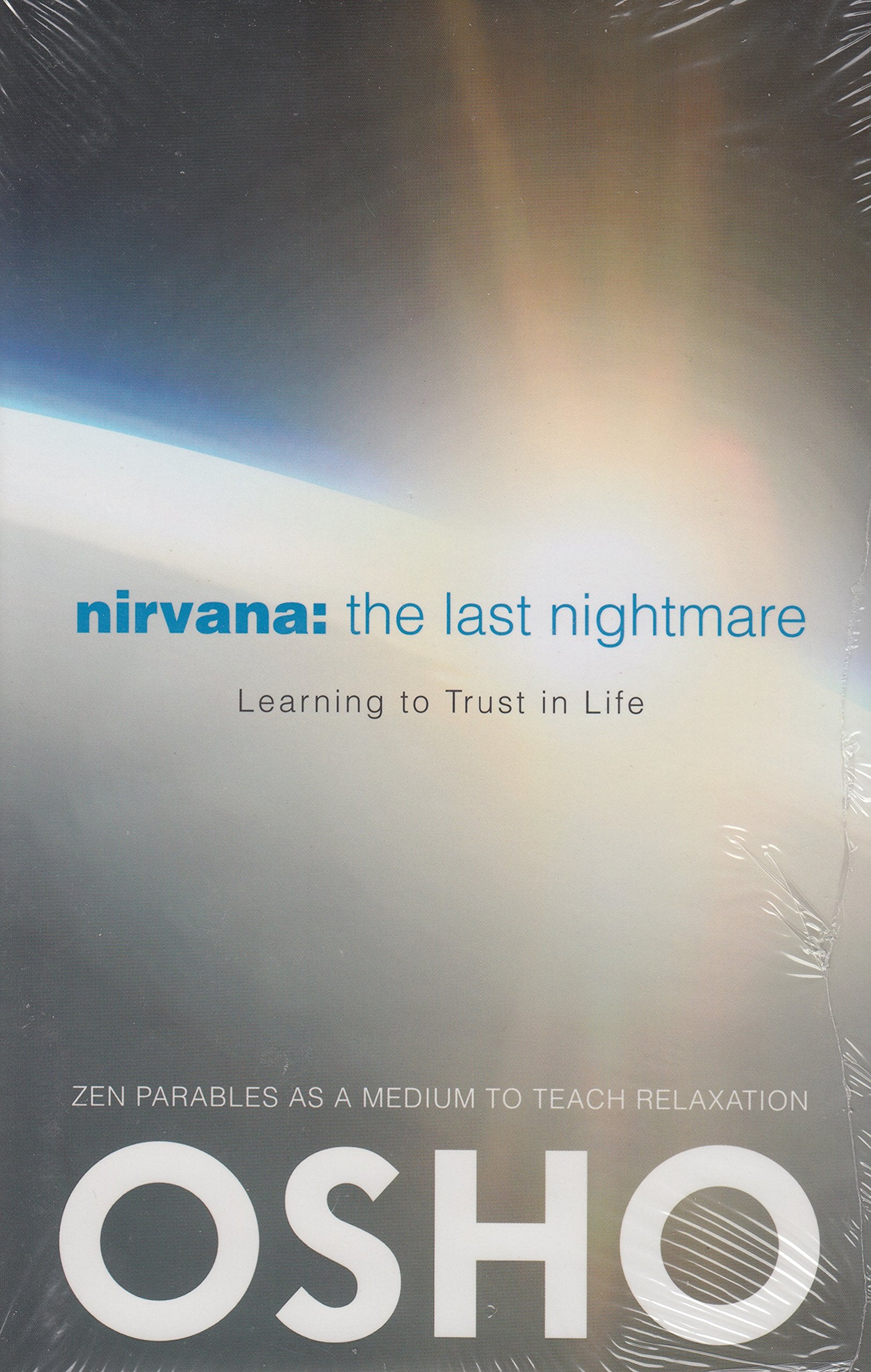 Nirvana the Last Nightmare book