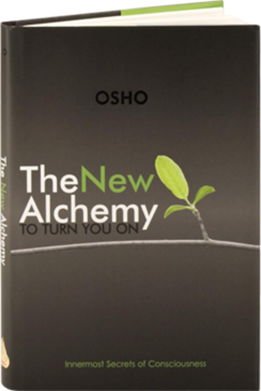 The New Alchemy To Turn You On: Innermost Secrets of Consciousness Books