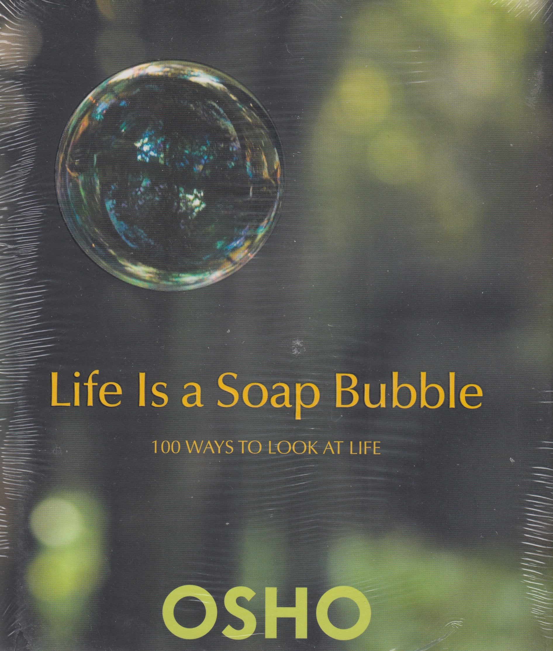 Life is a Soap Bubble (100 Ways to Look at Life) book
