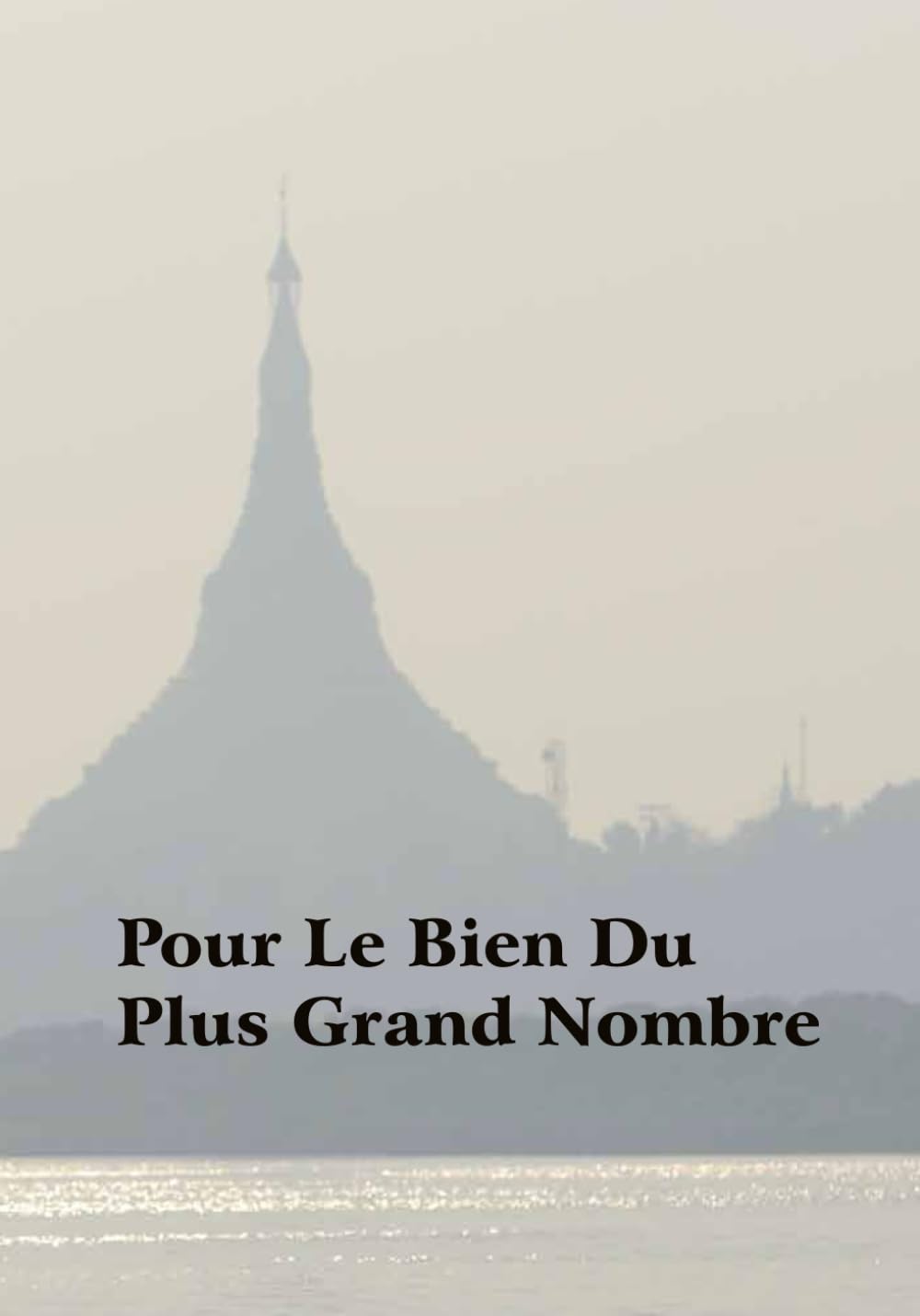 Pour Le Bien Du Plus Grand Nombre: Discours et réponses aux questions d’étudiants de Vipassana 1983-2000 book
