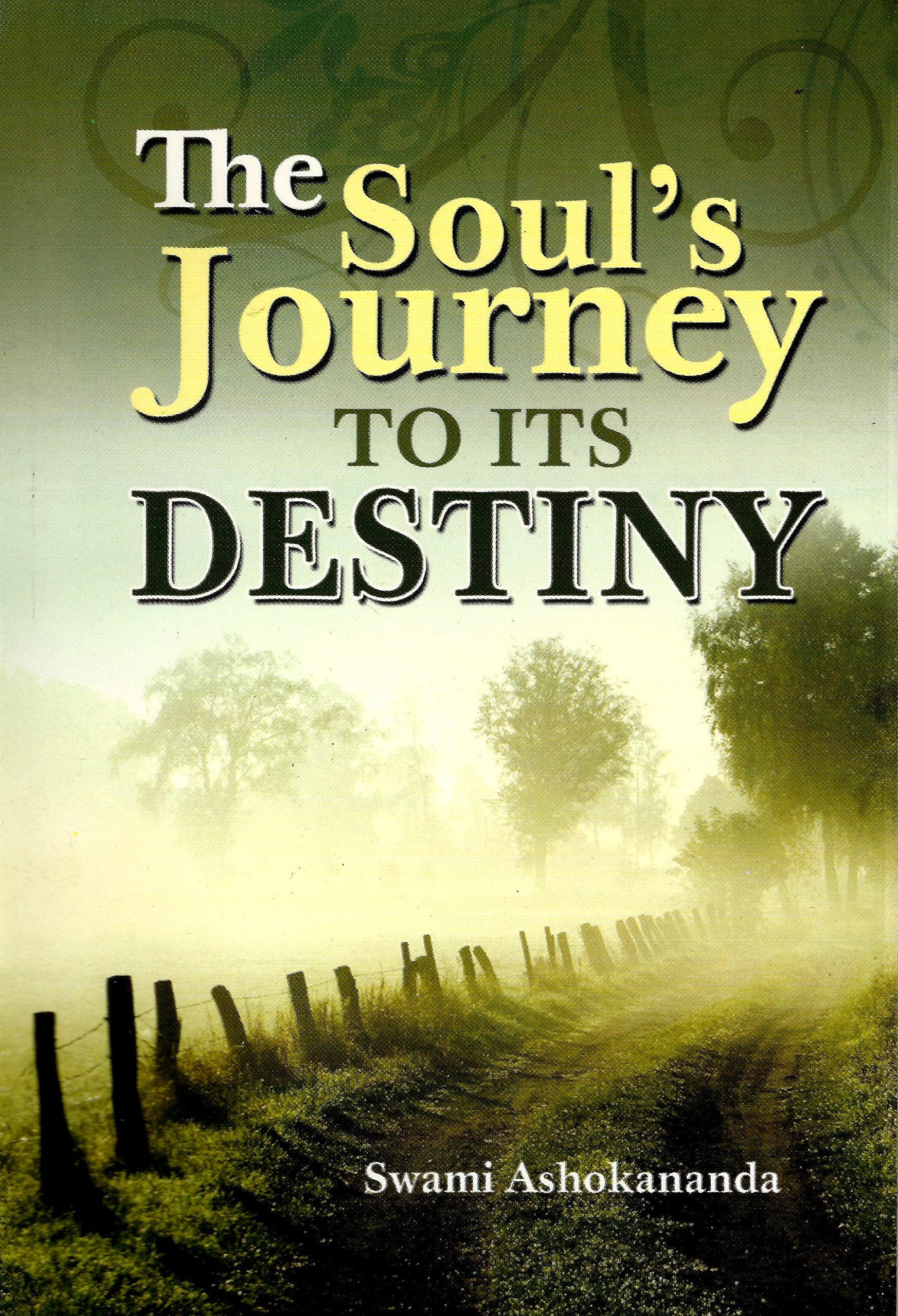 Souls Journey To Its Destiny book