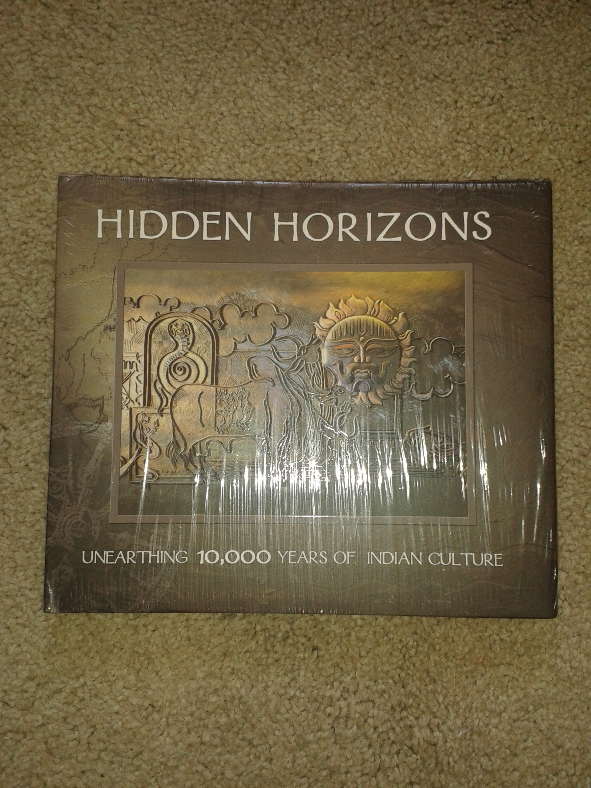 Hidden Horizons Unearthing 10,000 Years of Indian Culture. book