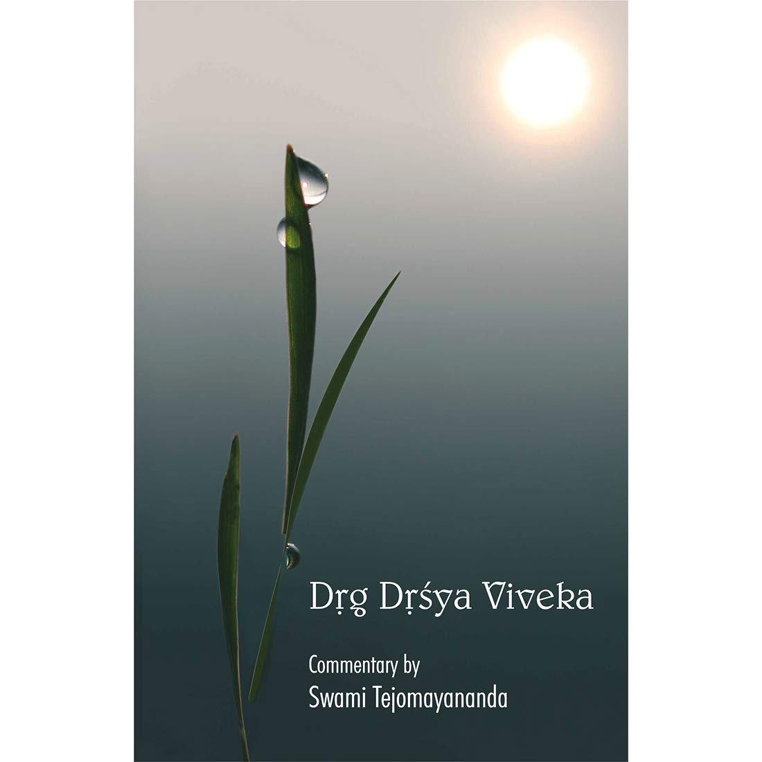 Product Image: DRIG DRISHYA VIVEK SWAMI TEJOMAYANANDA