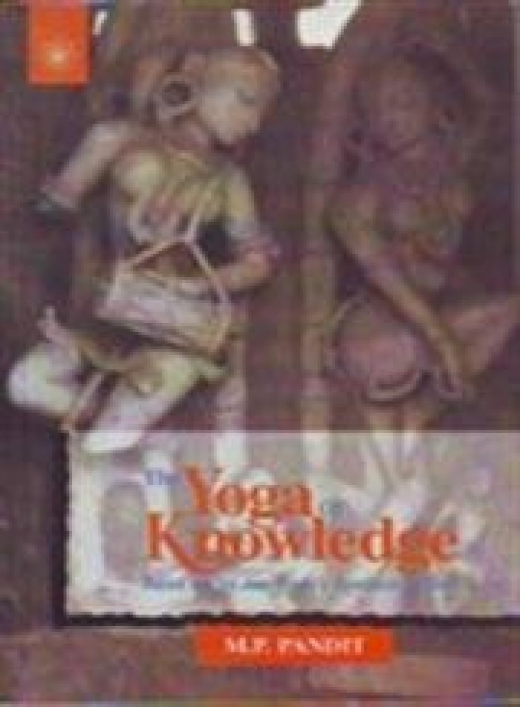 The Yoga of Love: Based on Sri Aurobindo's "Synthesis of Yoga" Philosophy
