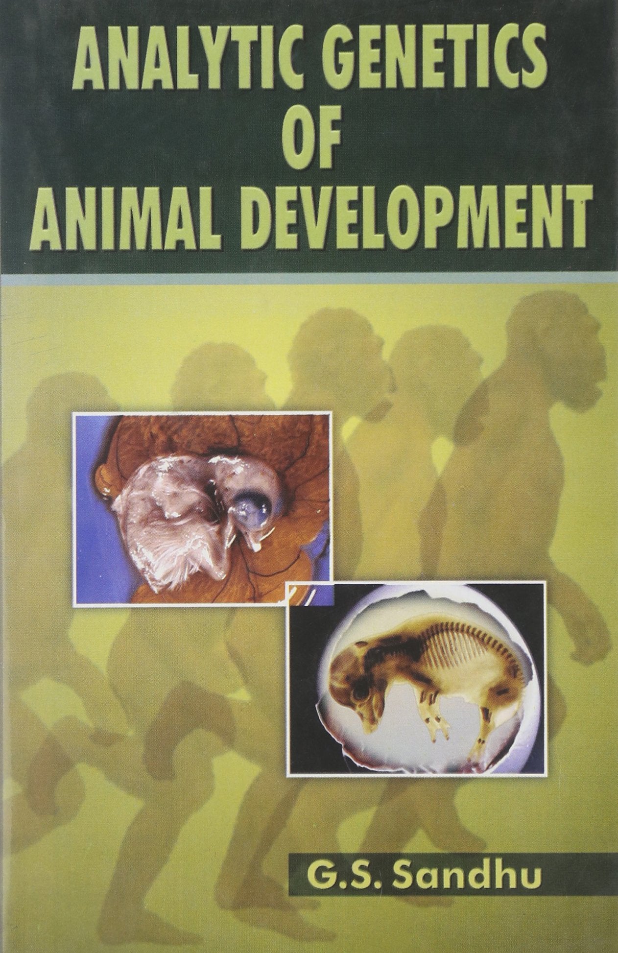 Product Image: Analytic Genetics of Animal Development