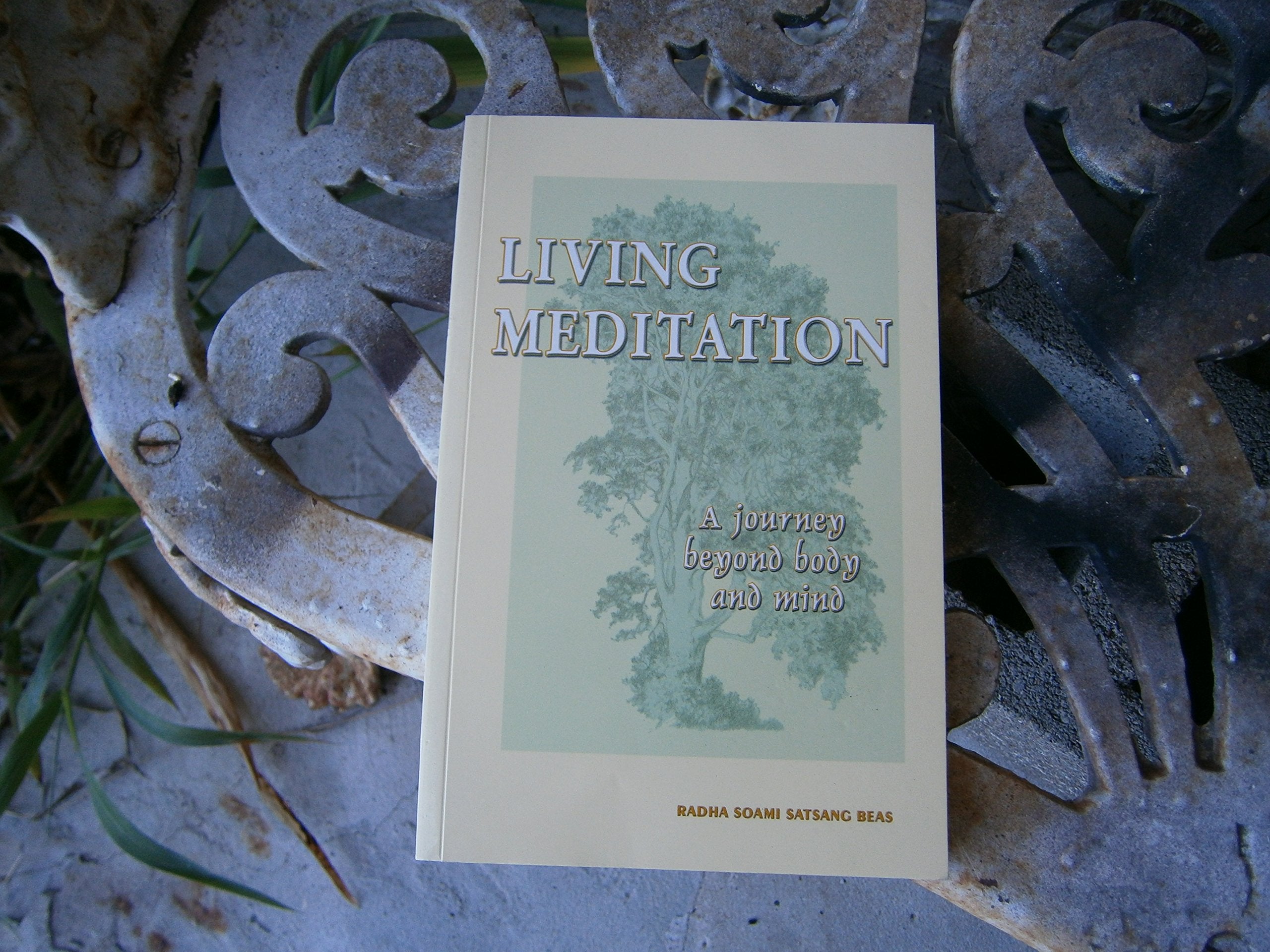 LIVING MEDITATION: A Journey Beyond Body and Mind Books