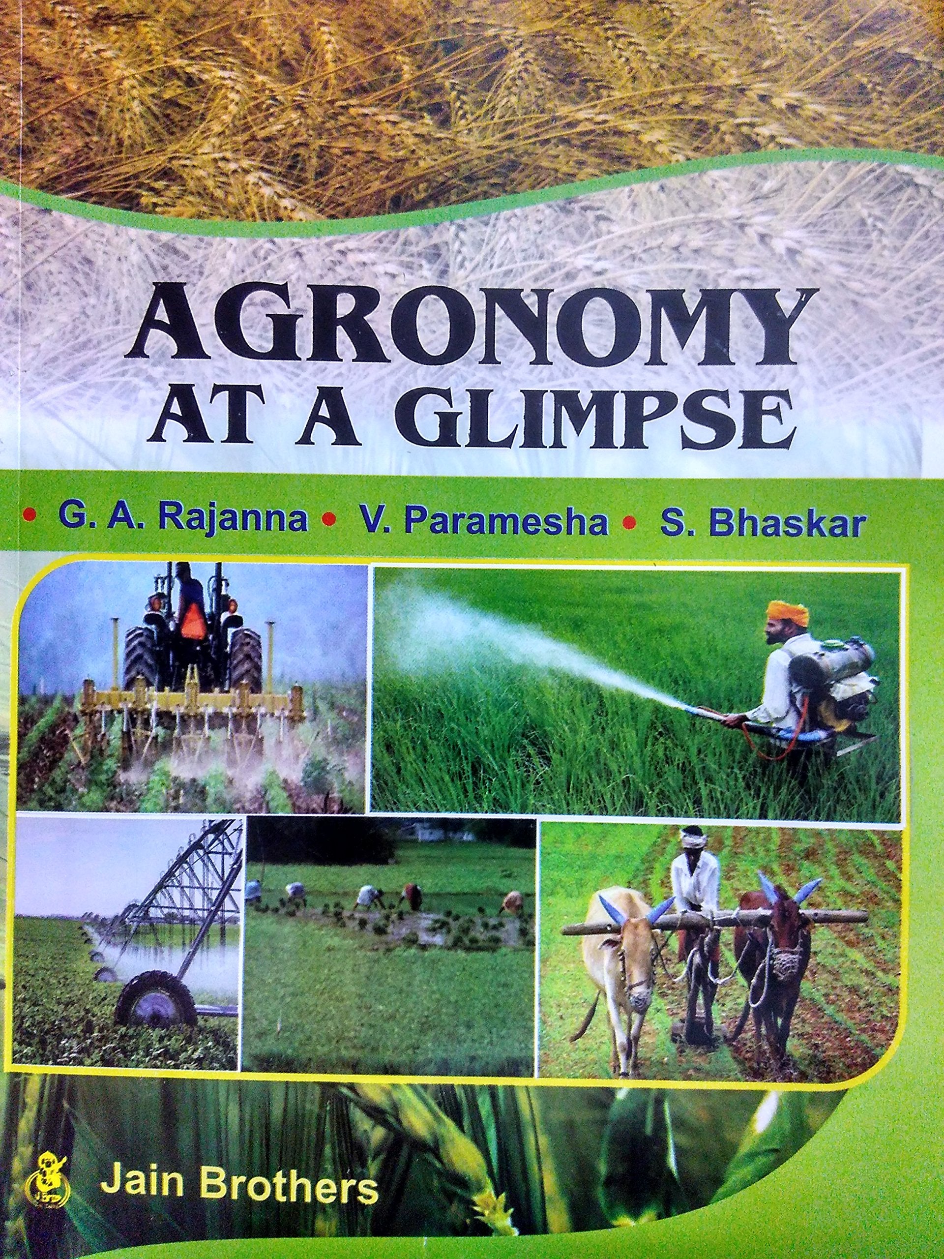 Agronomy at A Glimpse (PB) Rajanna, G A et al Rajanna, G A et al Books