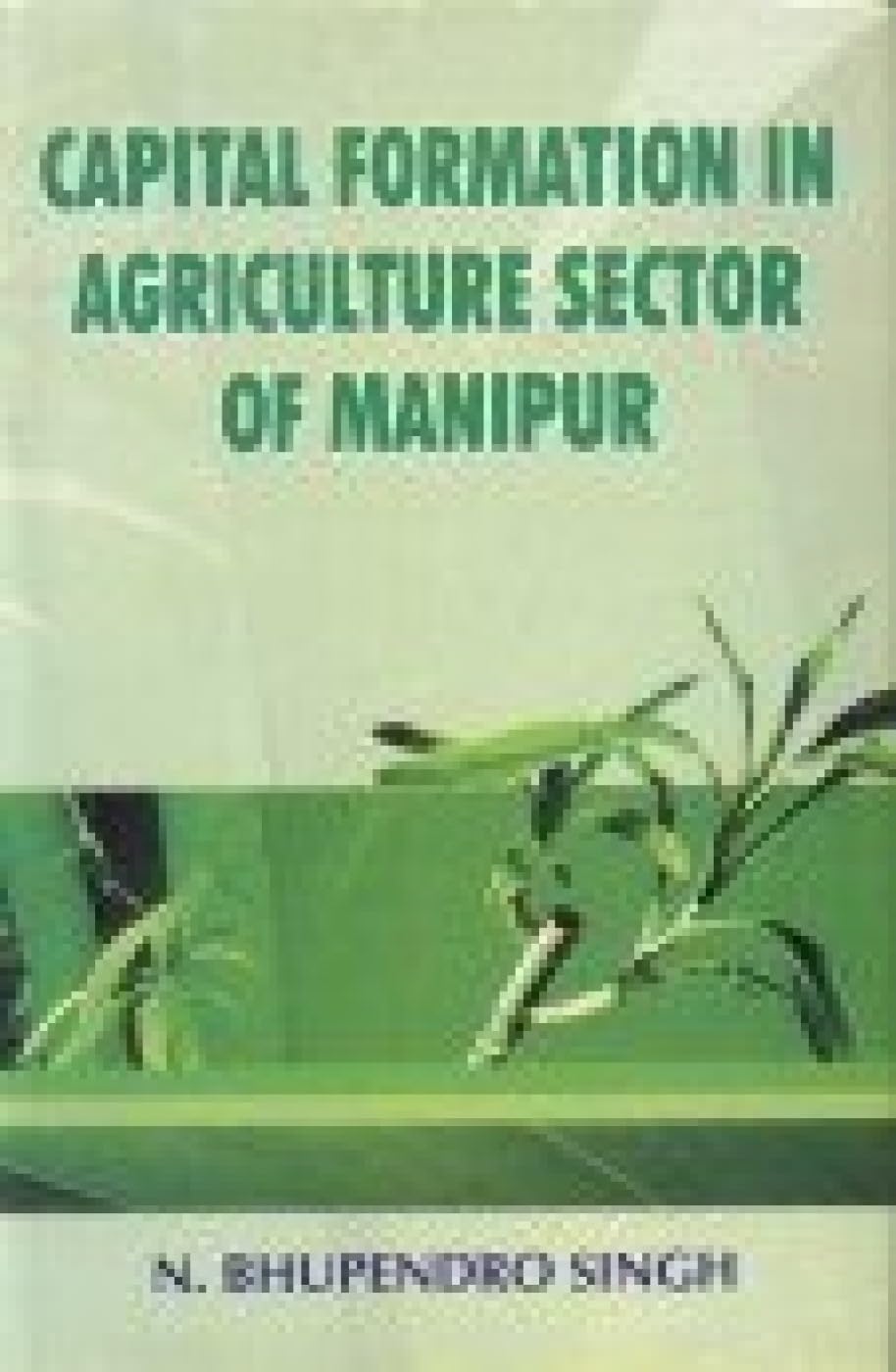 Capital Formation in Agriculture Sector of Manipur Natural Sciences