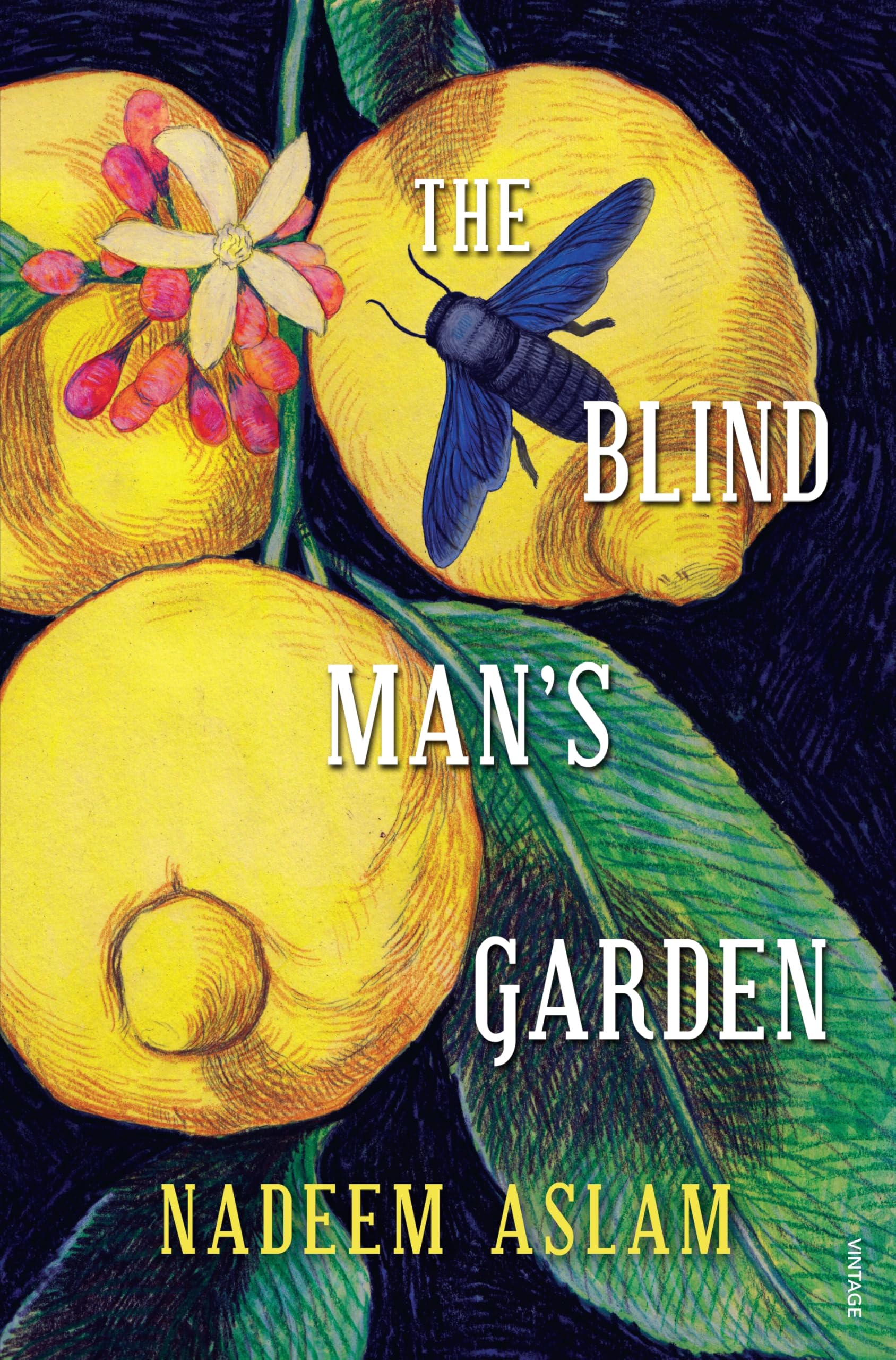 Product Image: The Blind Man's Garden