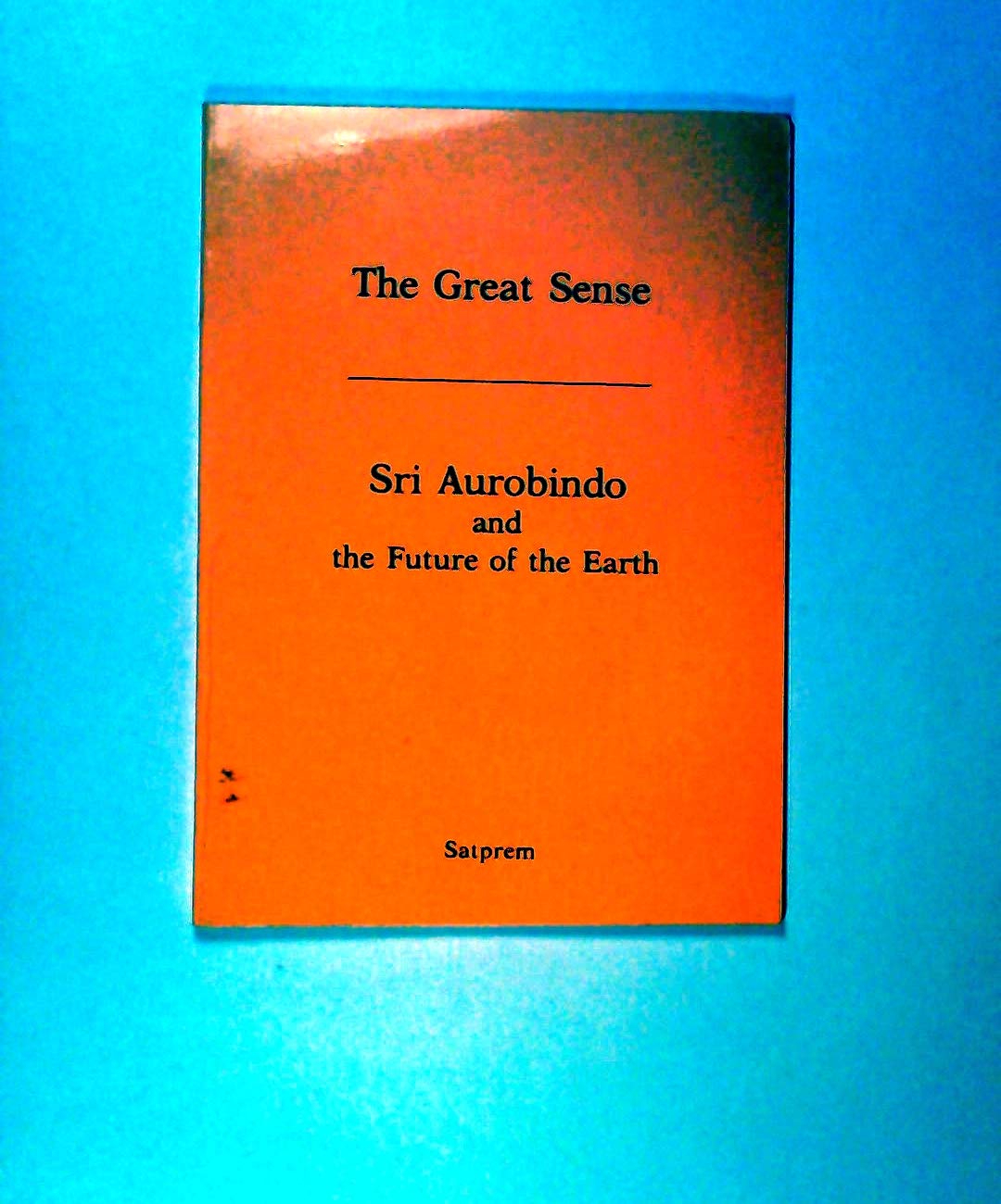 The Great Sense. Sri Aurobindo and the Future of the Earth Books