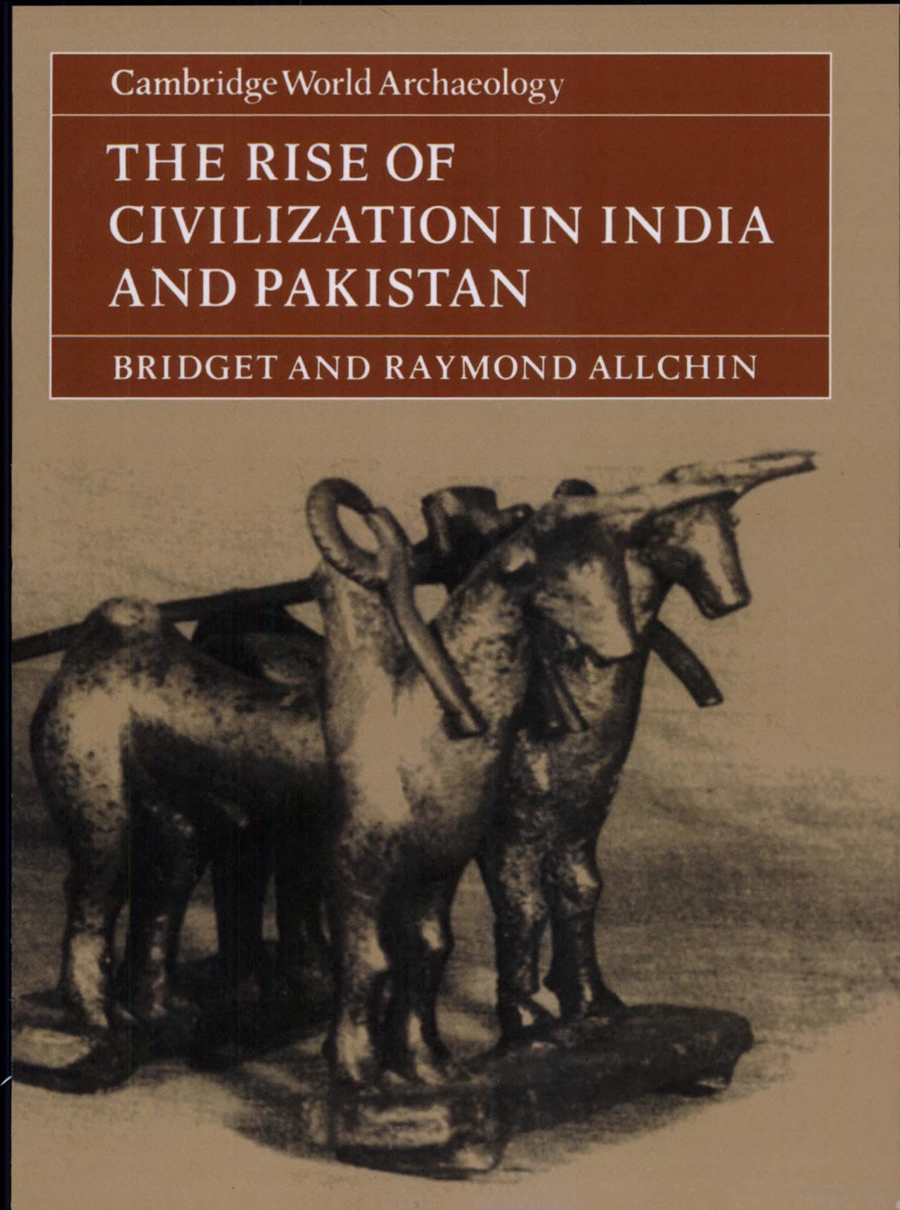 Ancient History: The Rise in Civilization in India and Pakistan book