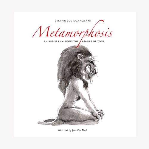 Metamorphosis Film, Art & Culture