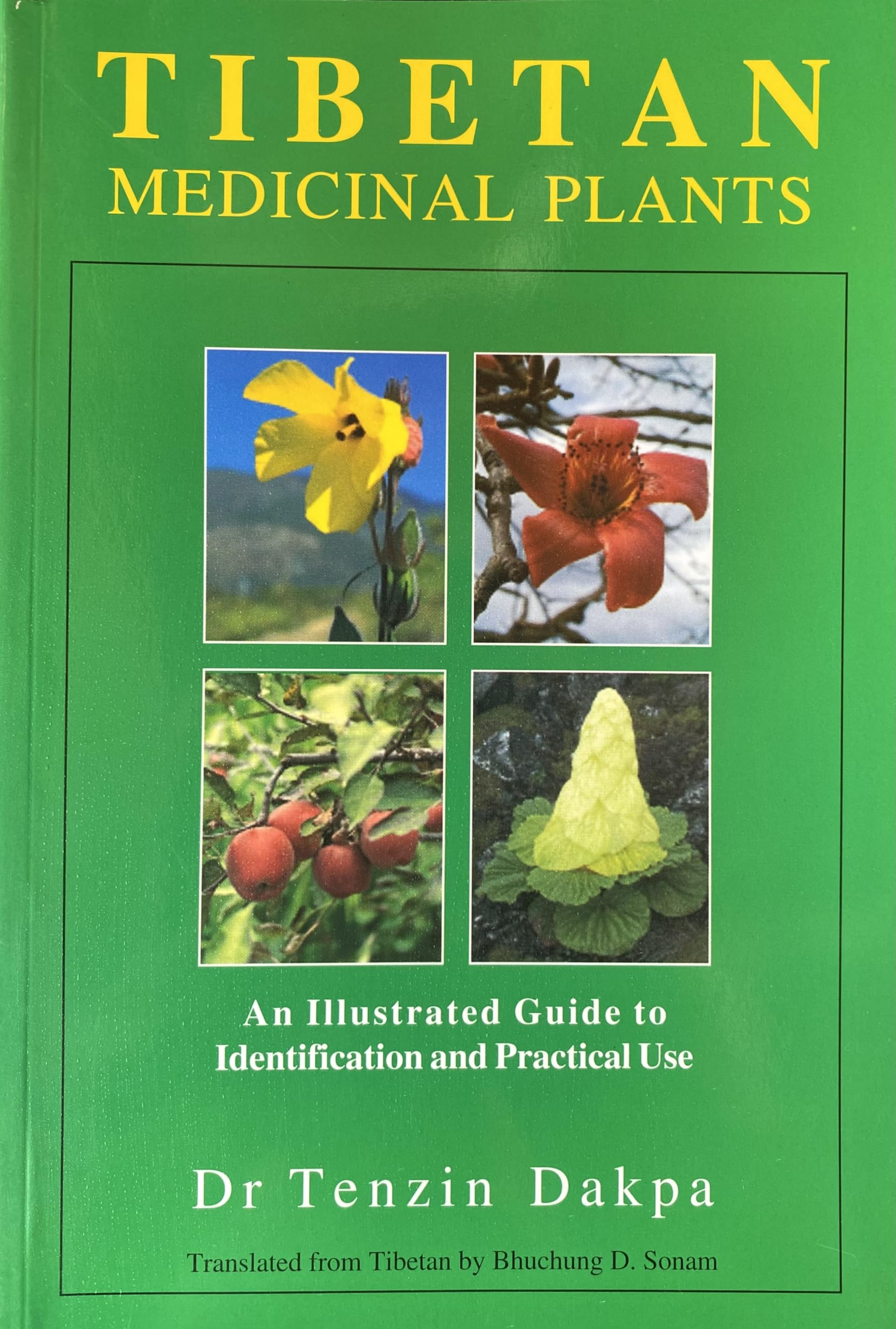 Tibetan Medicinal Plants - An Illustrated Guide to Identification and Practical Use Medicine