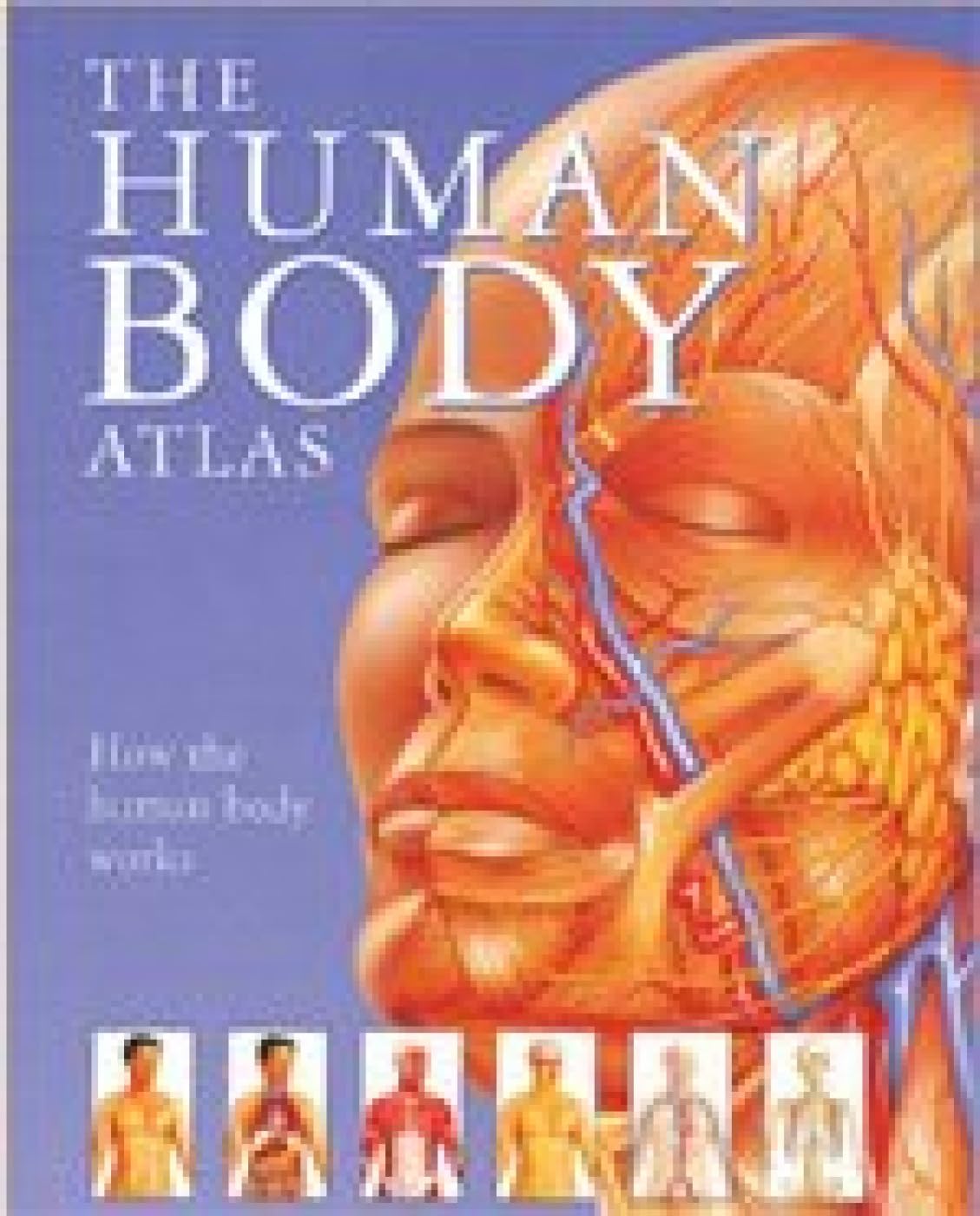 The Human Body Atlas Medicine
