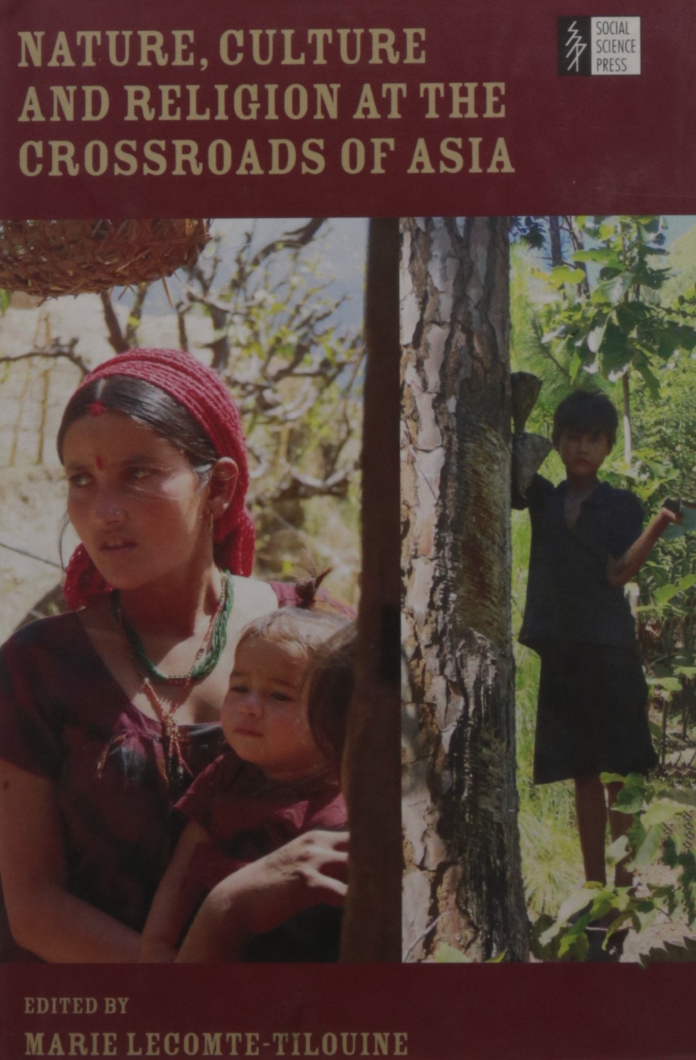 Nature, Culture and Religion at the Crossroads of Asia book