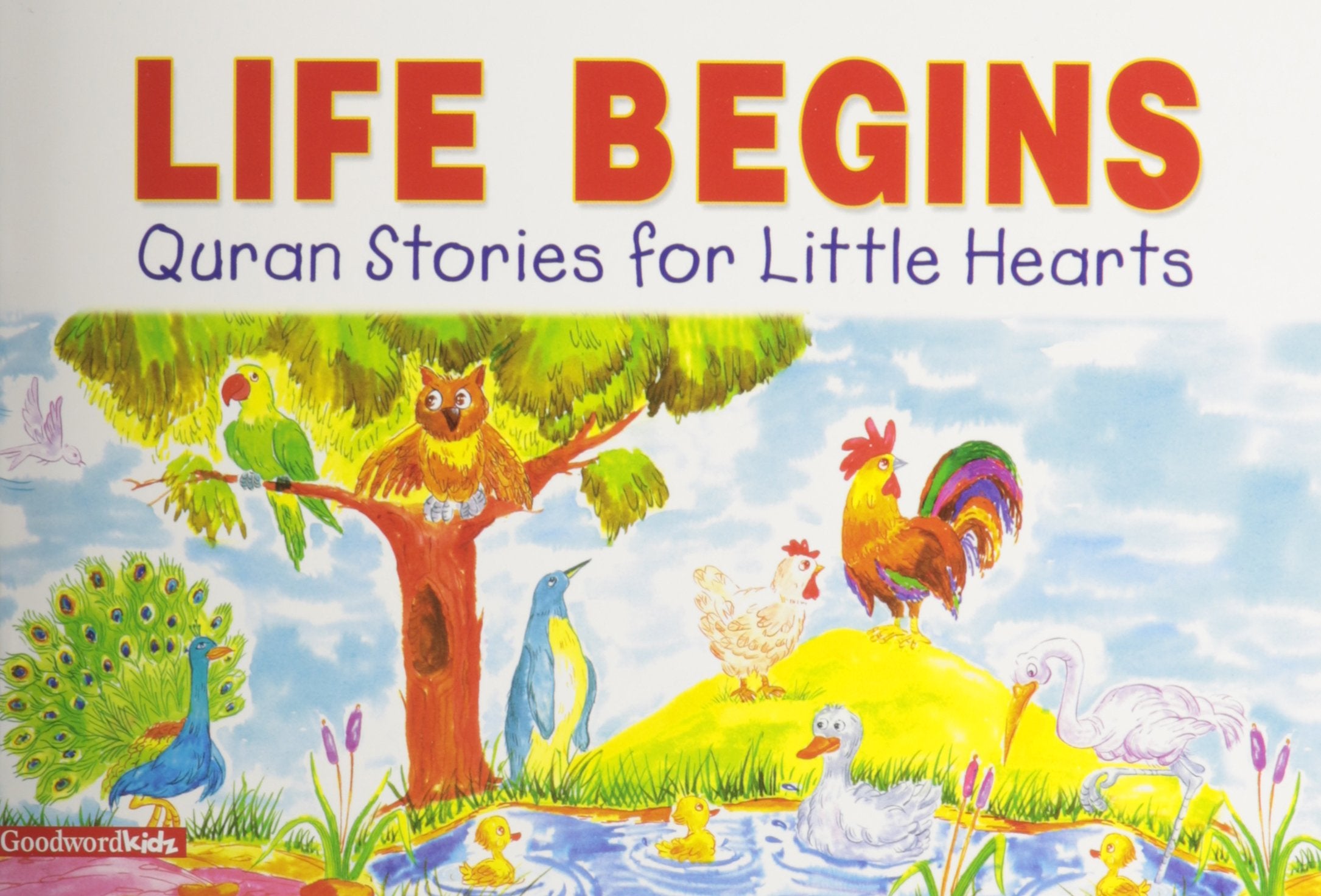Life Begins: Quran Stories for Little Hearts Non-fiction
