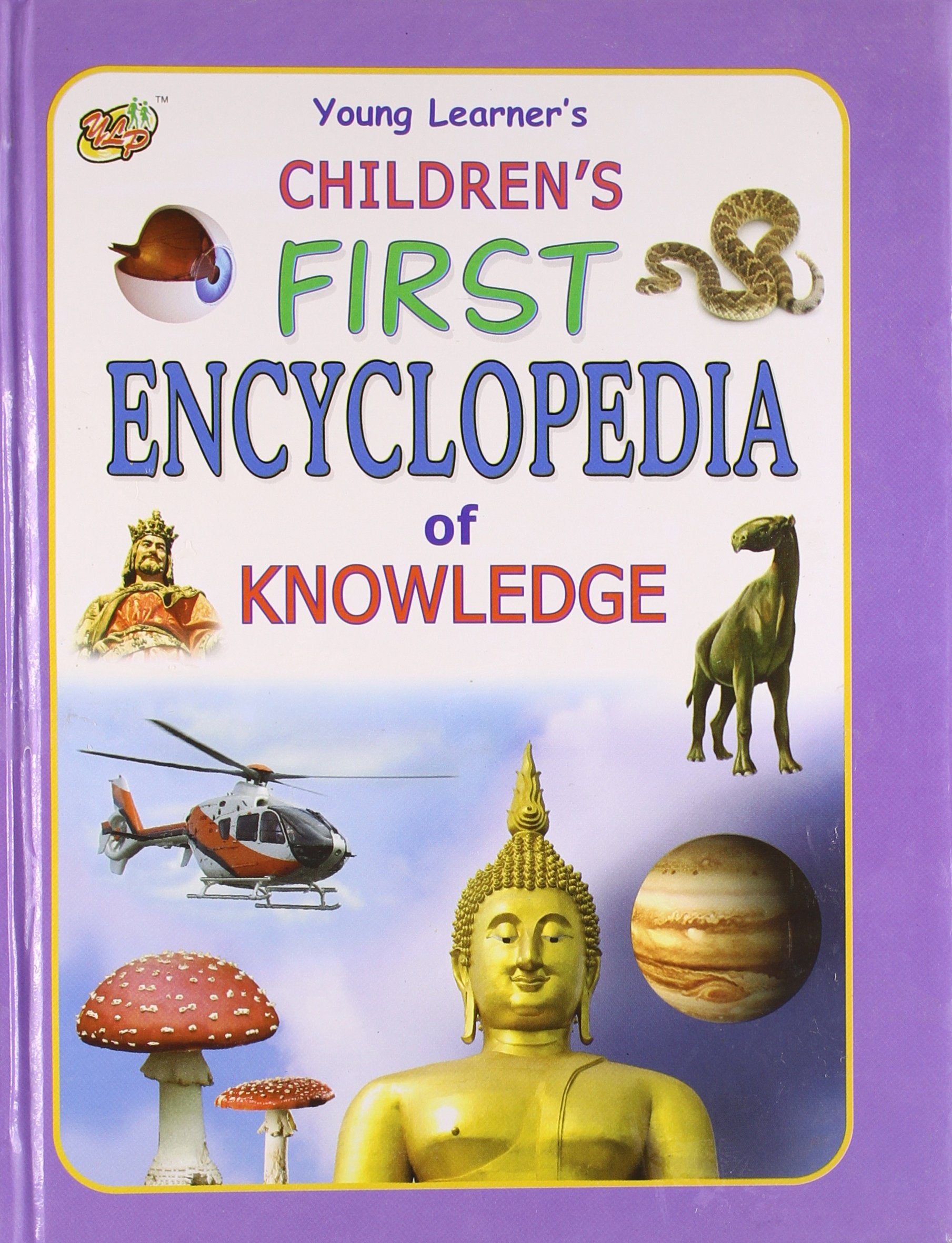 Children's First Encyclopaedia of Knowledge: Bk. 4 Non-fiction books for kids
