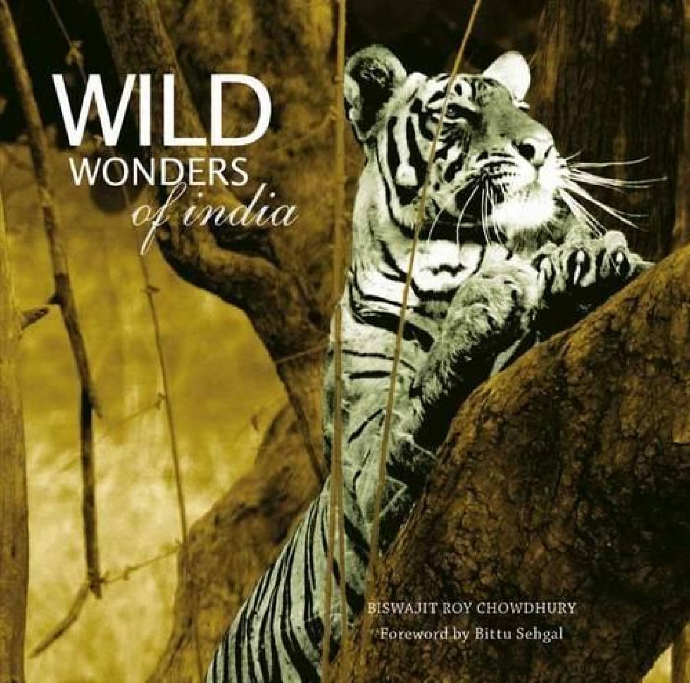 Wild Wonders Of India Mathematics