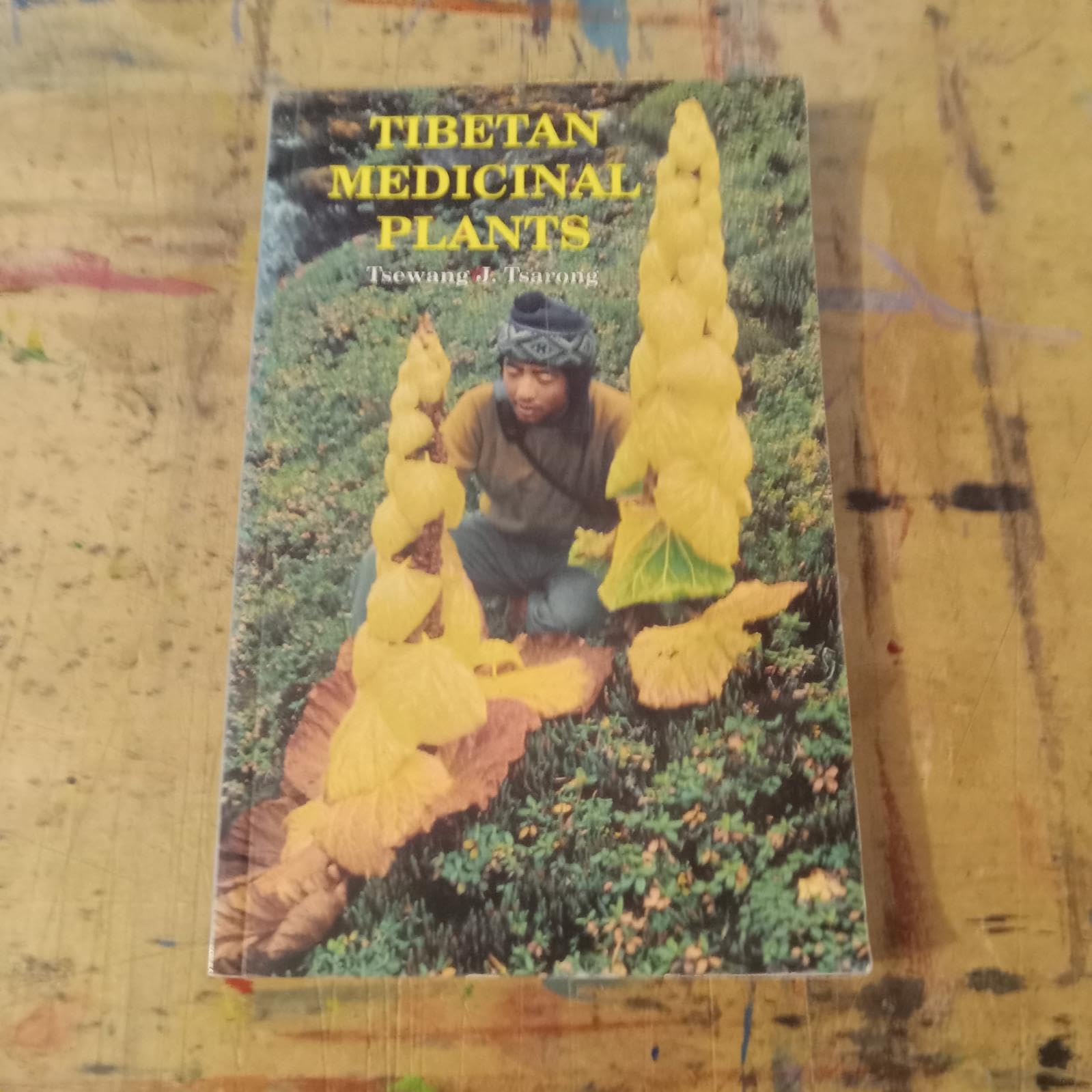Tibetan Medicinal Plants Natural Sciences