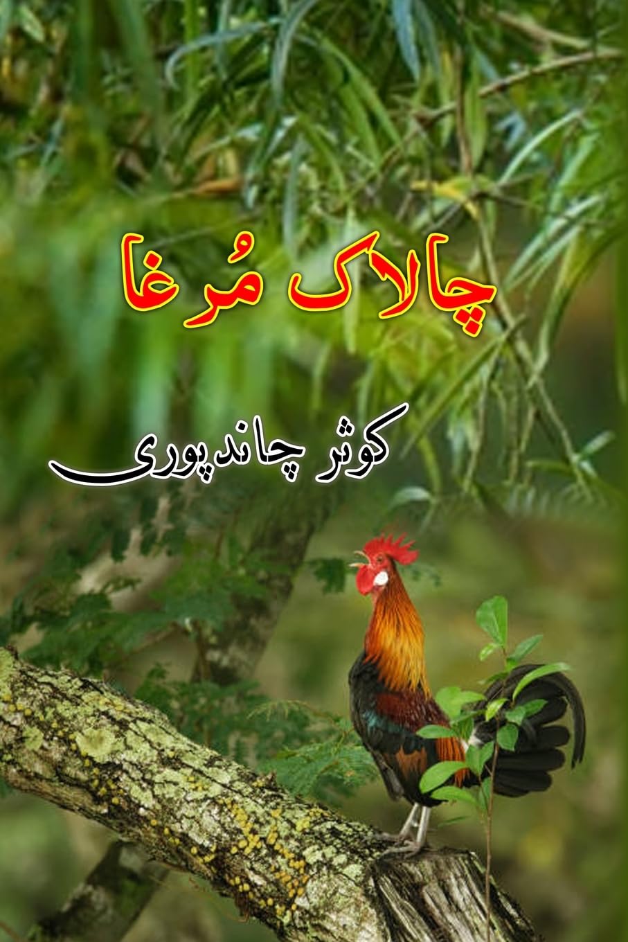 Chalaak Murgha: (Kids Novel) Fantasy & Sci-Fi