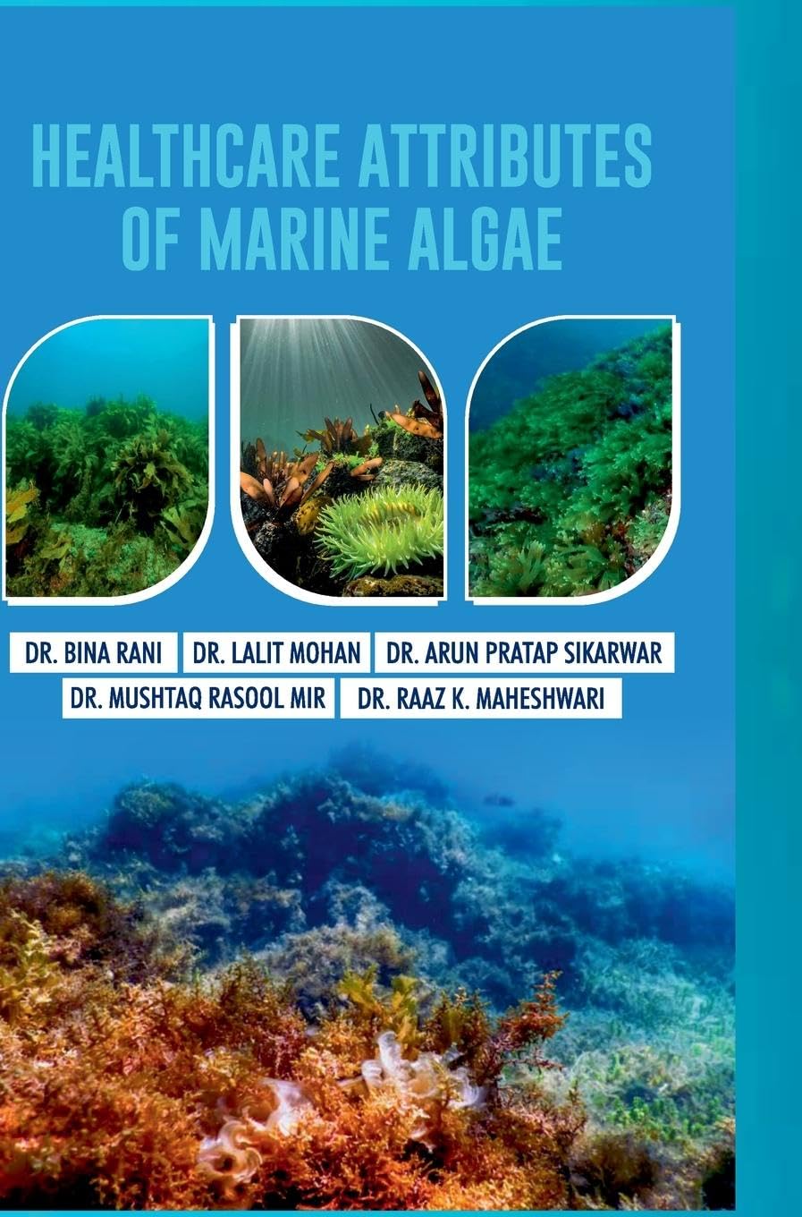 Healthcare Attributes of Marine Algae Contemporary literature
