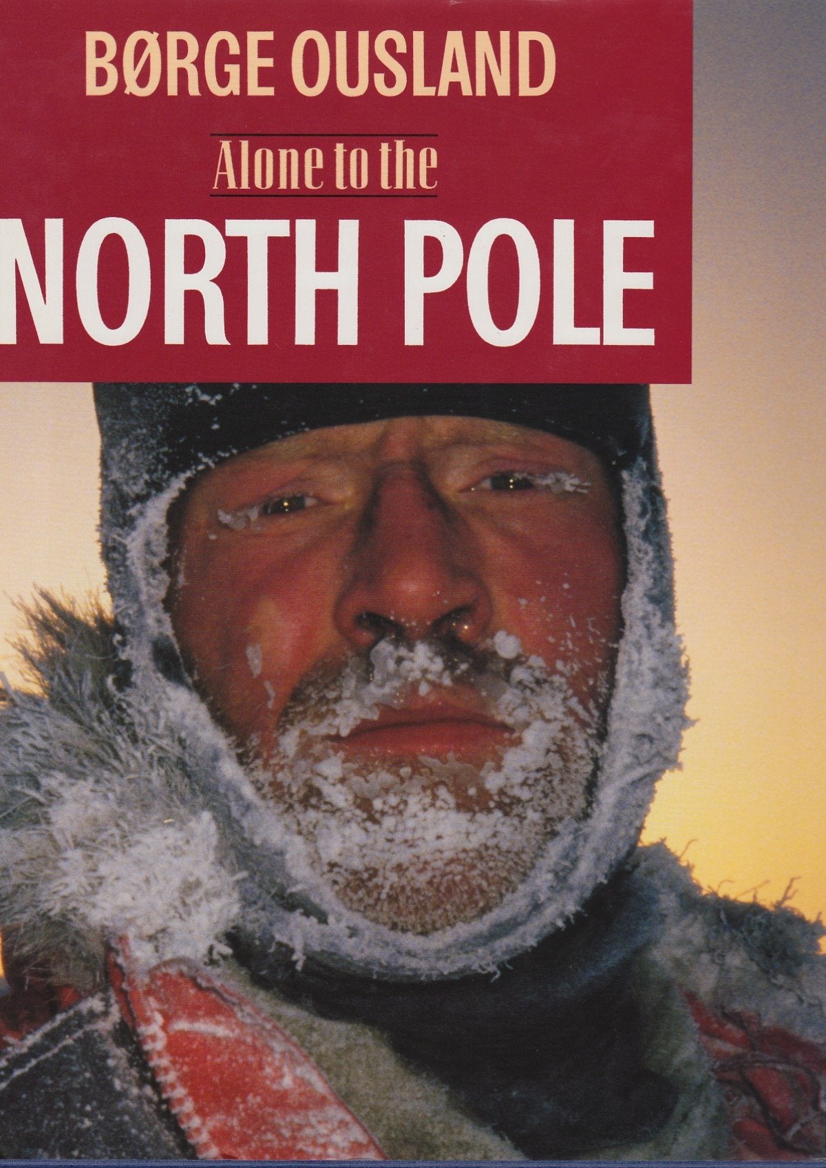 Product Image: Alone to the North Pole