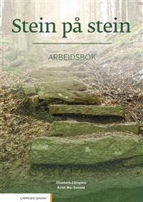 Stein på stein. Arbeidsbok. Level B1 Books