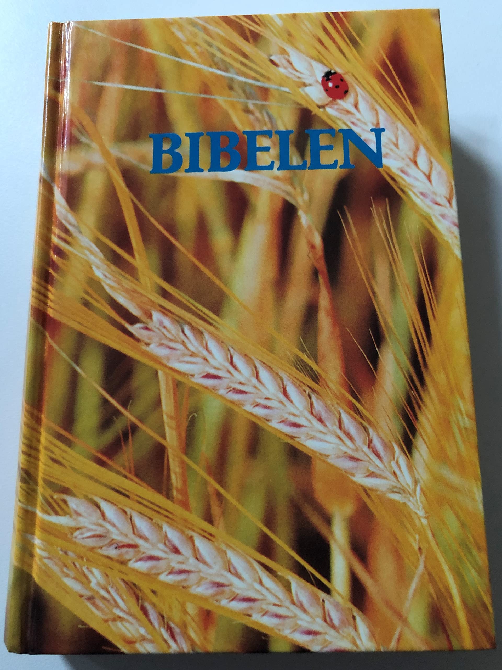 The Bible Religion & Esotericism