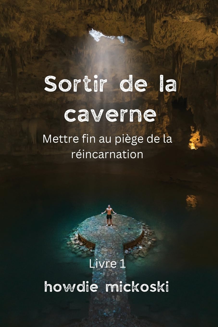 Sortir de la Caverne: Mettre fin au piège de la réincarnation book