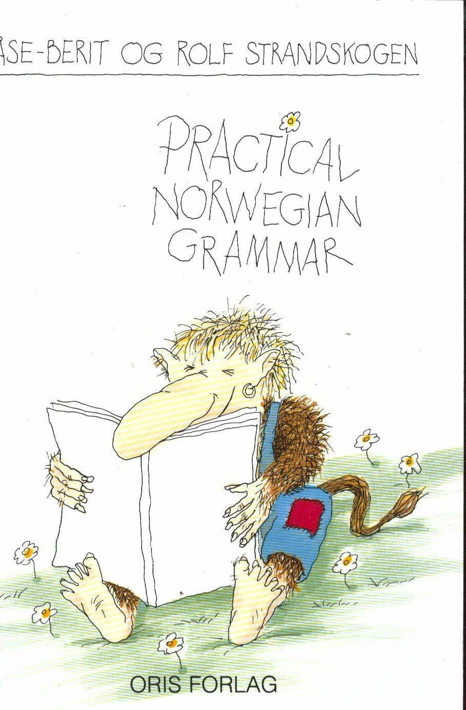 Product Image: Practical Norwegian Grammar/ (N544)