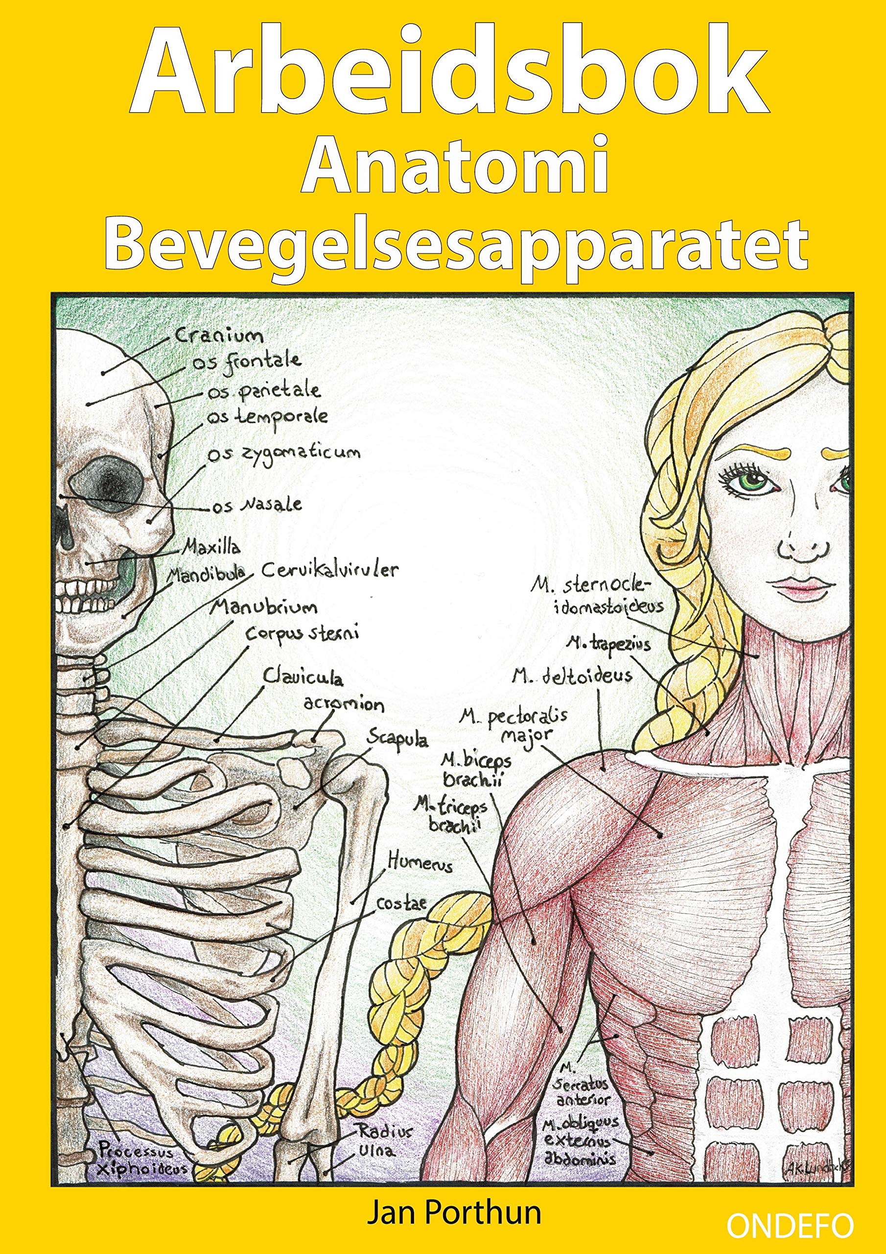 Arbeidsbok Anatomi Bevegelsesapparatet: For studenter som studerer helsefag, medisin eller idrett. Medicine