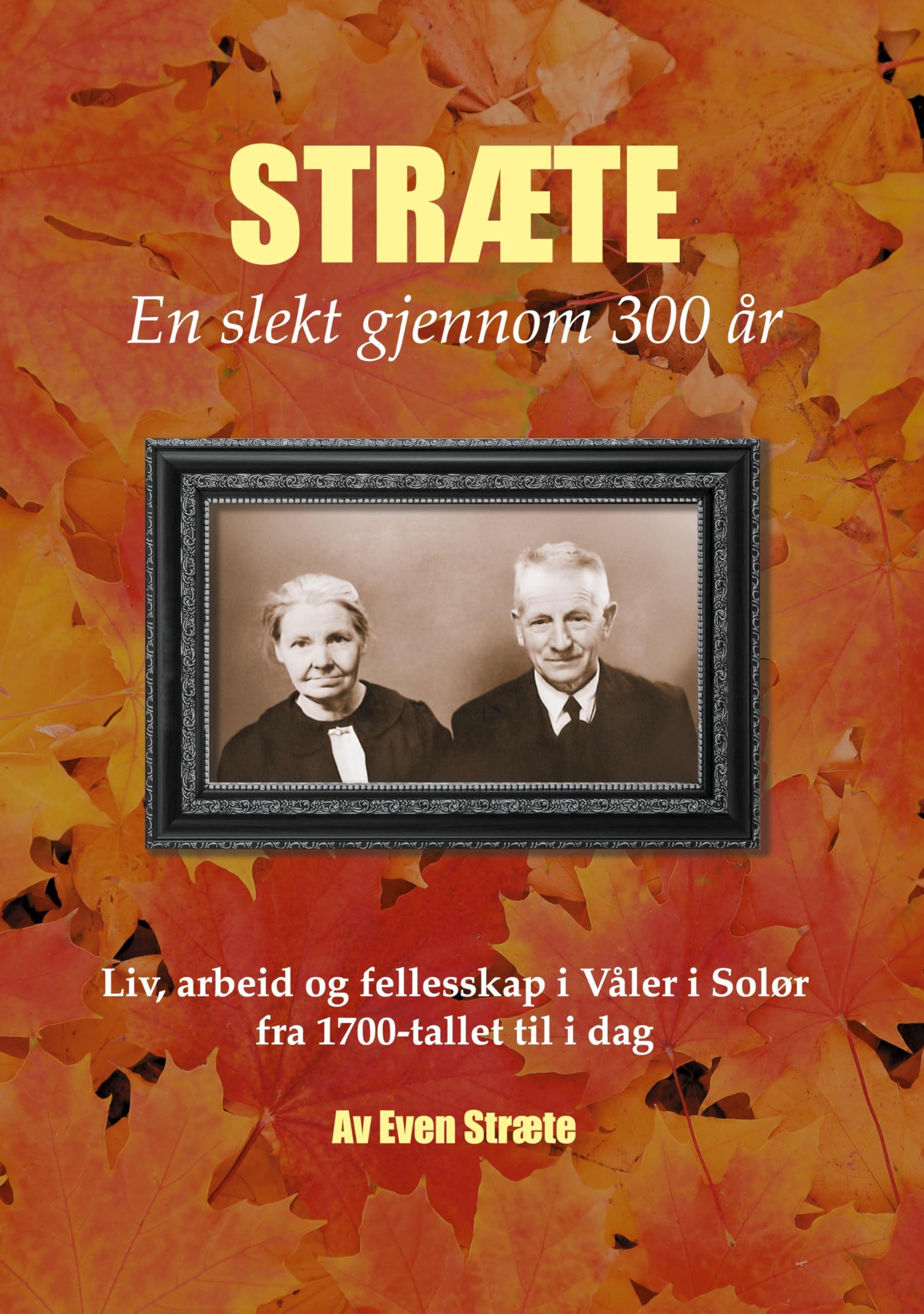 Stræte - en slekt gjennom 300 år Politics & History