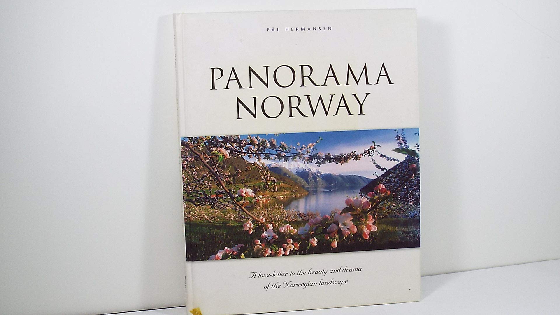 Panorama Norway: A Love-Letter to the Beauty and Drama of the Norwegian Landscape Books