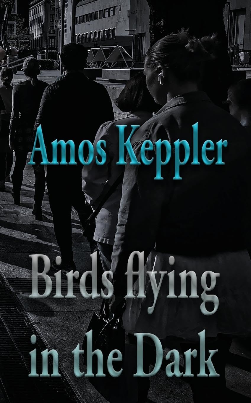 Birds Flying in the Dark Historical Fiction