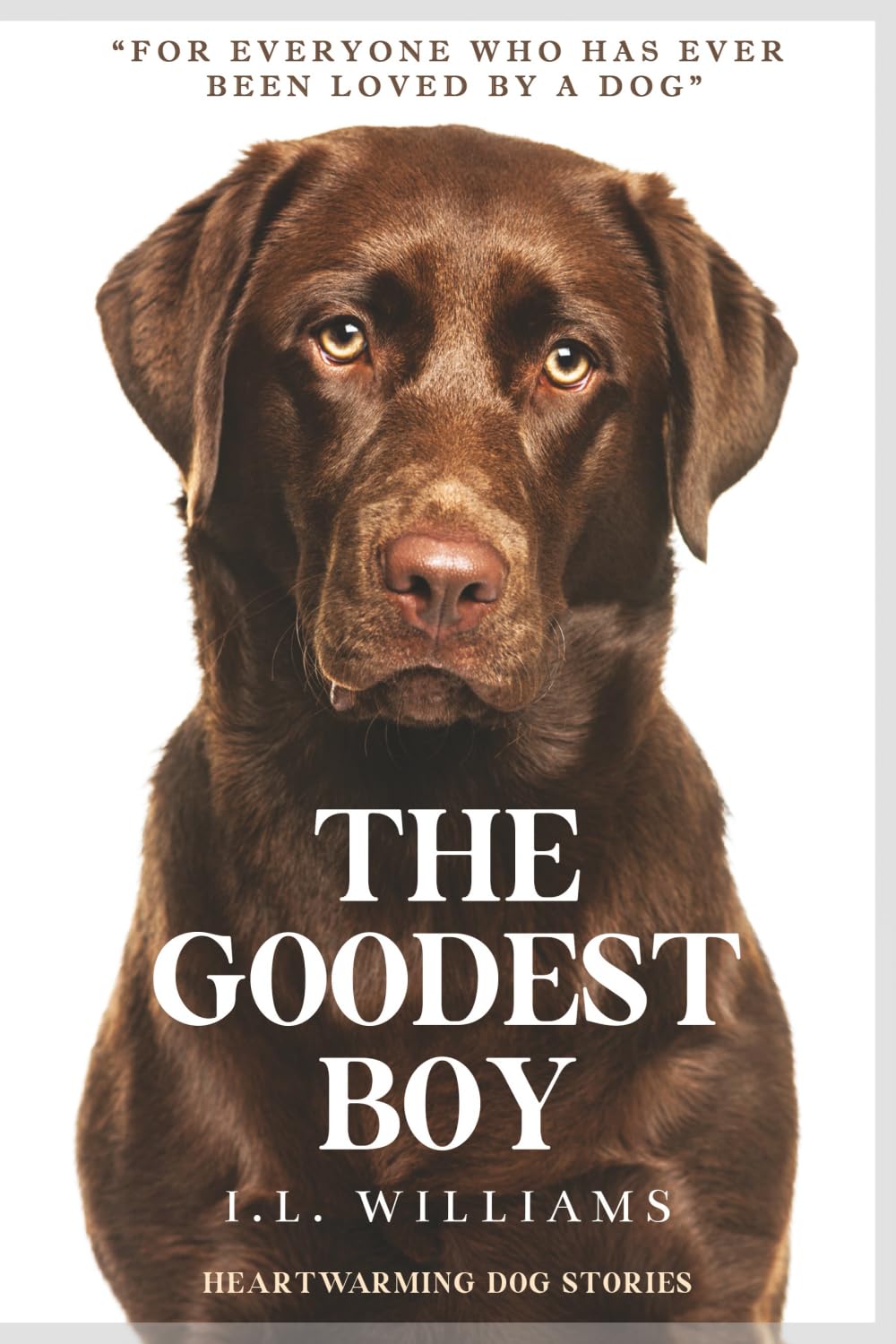The Goodest Boy: Heartwarming Dog Stories Essays & Short Stories