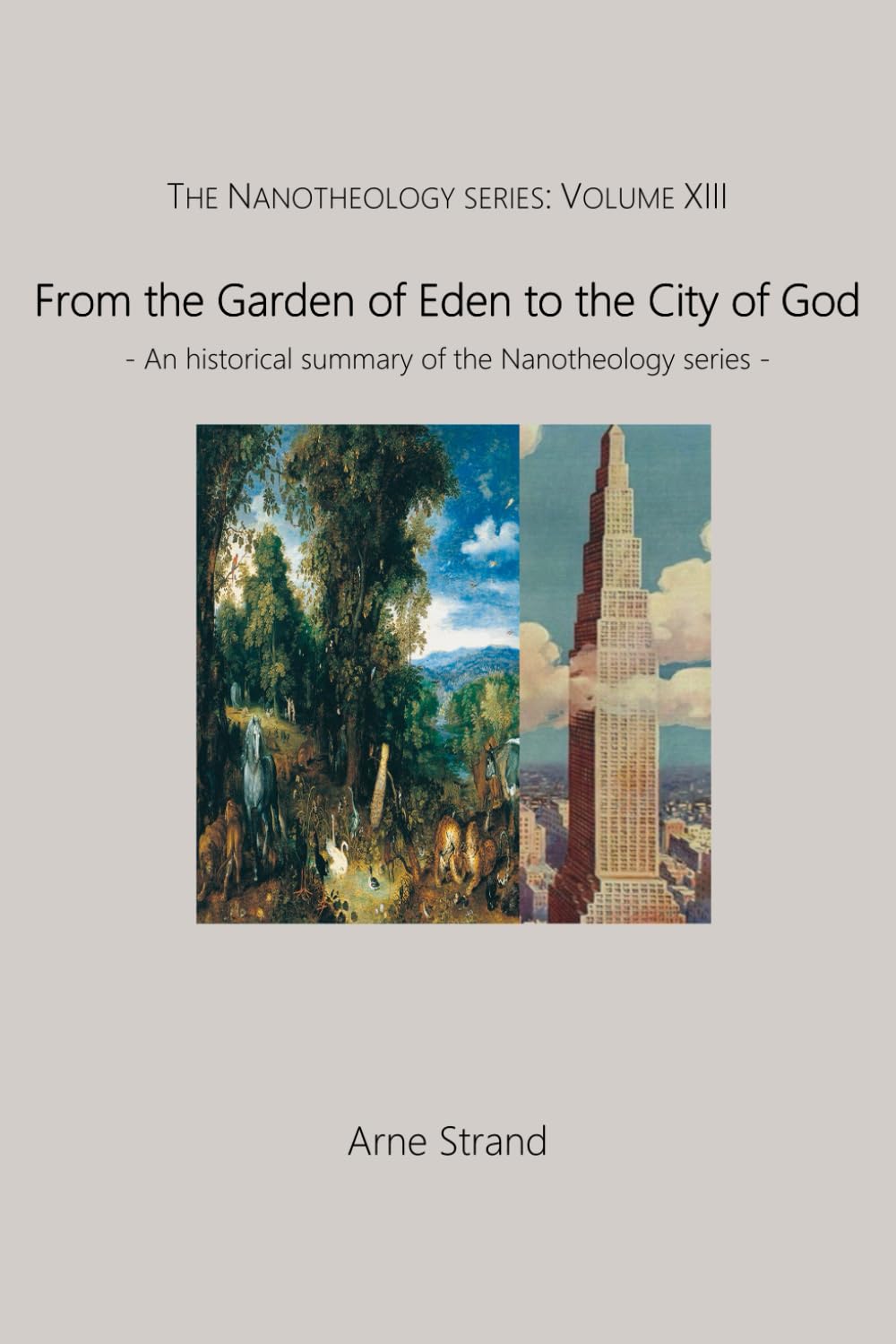 From the Garden of Eden to the city of God: An historical summary of the Nanotheology series Books