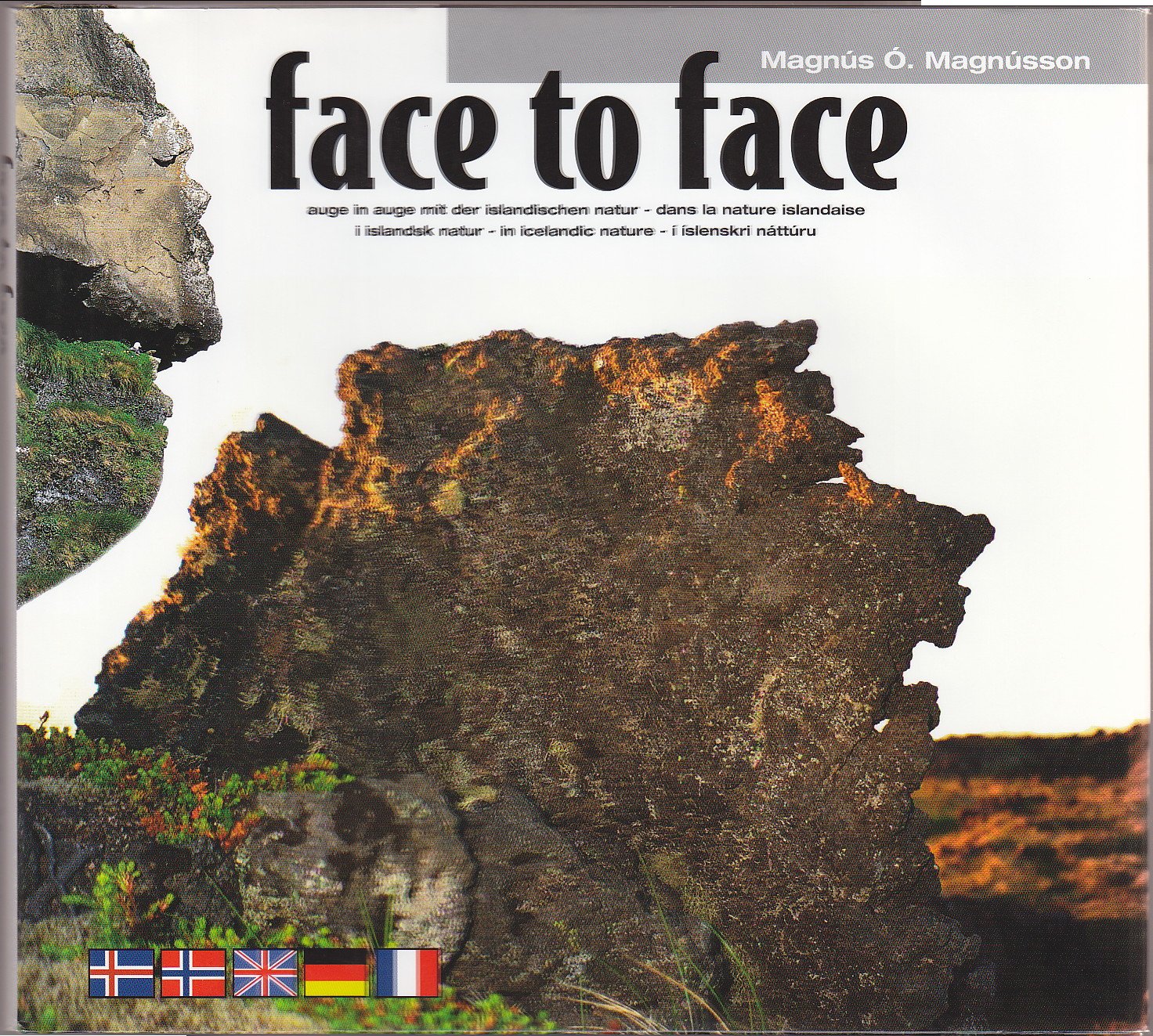 Face to Face in Icelandic Nature - Auge in Auge Mi Books