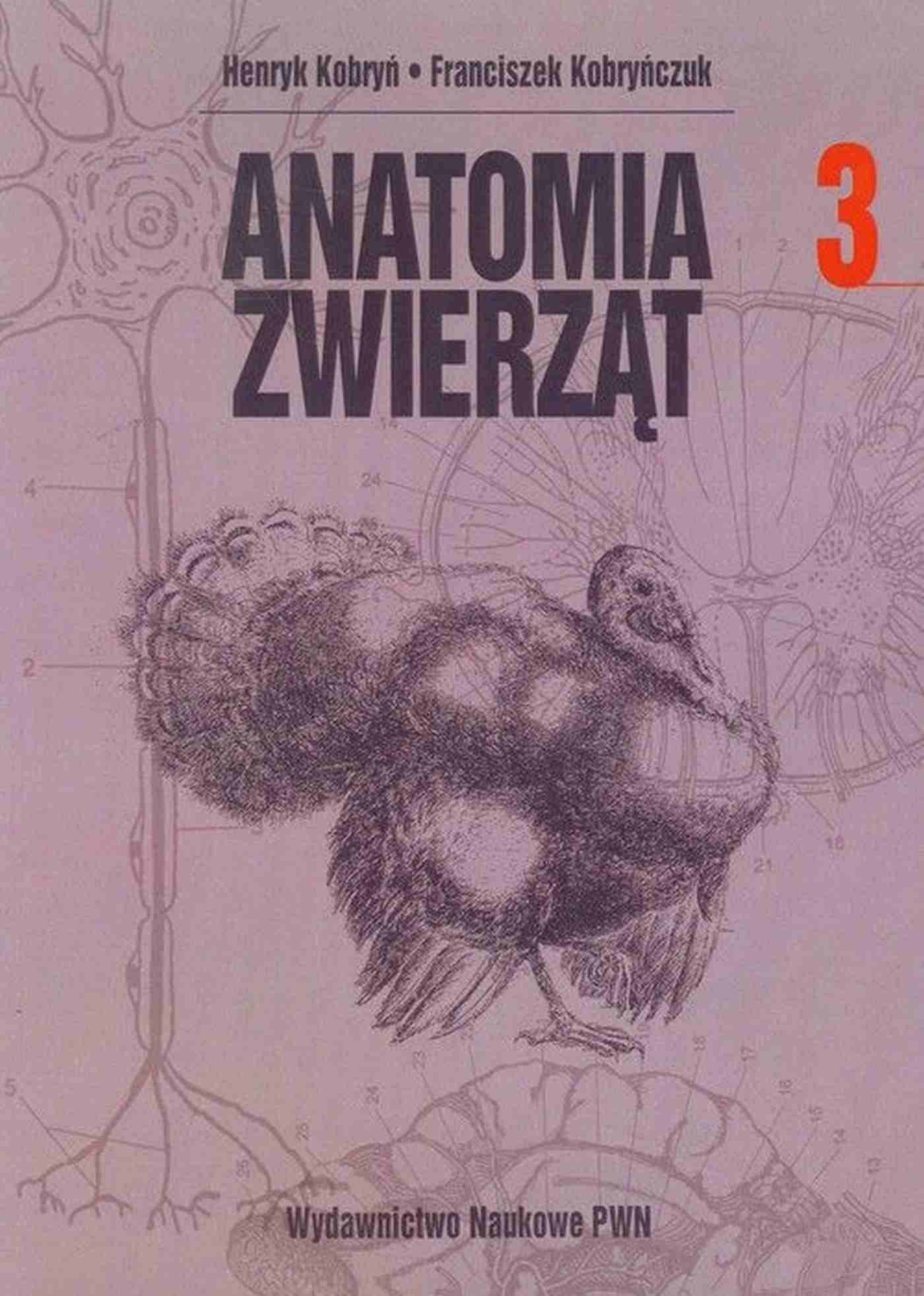 Anatomia zwierząt Tom 3 Books