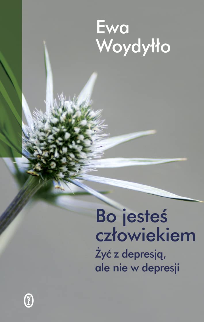 Bo jestes czlowiekiem: Żyć z depresją ale nie w depresji Business, Finance & Career